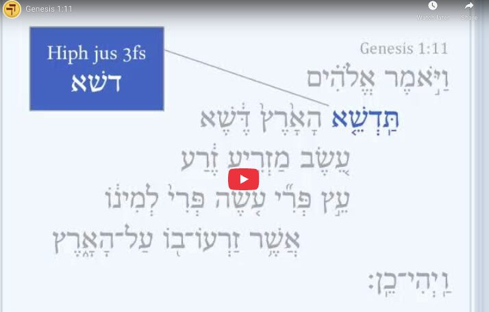 Genesis 1:11