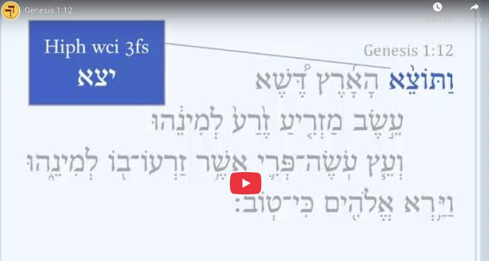 Genesis 1:12