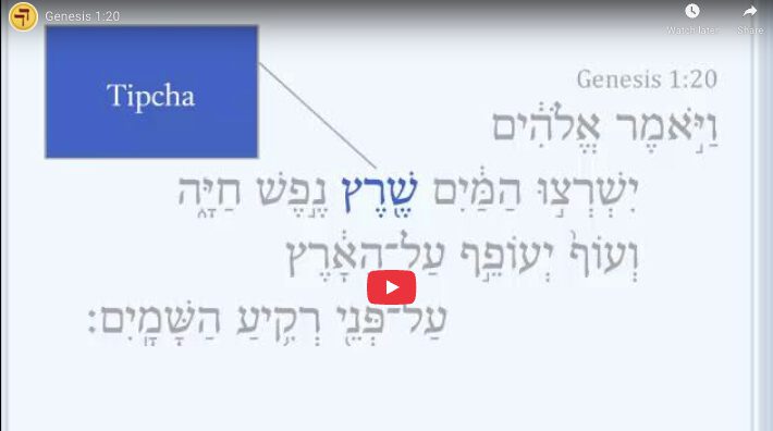 Genesis 1:20