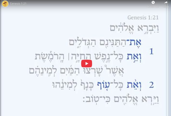 Genesis 1:21