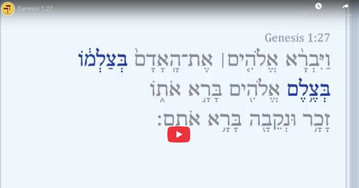 Genesis 1-27