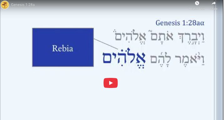 Gen 1-28a