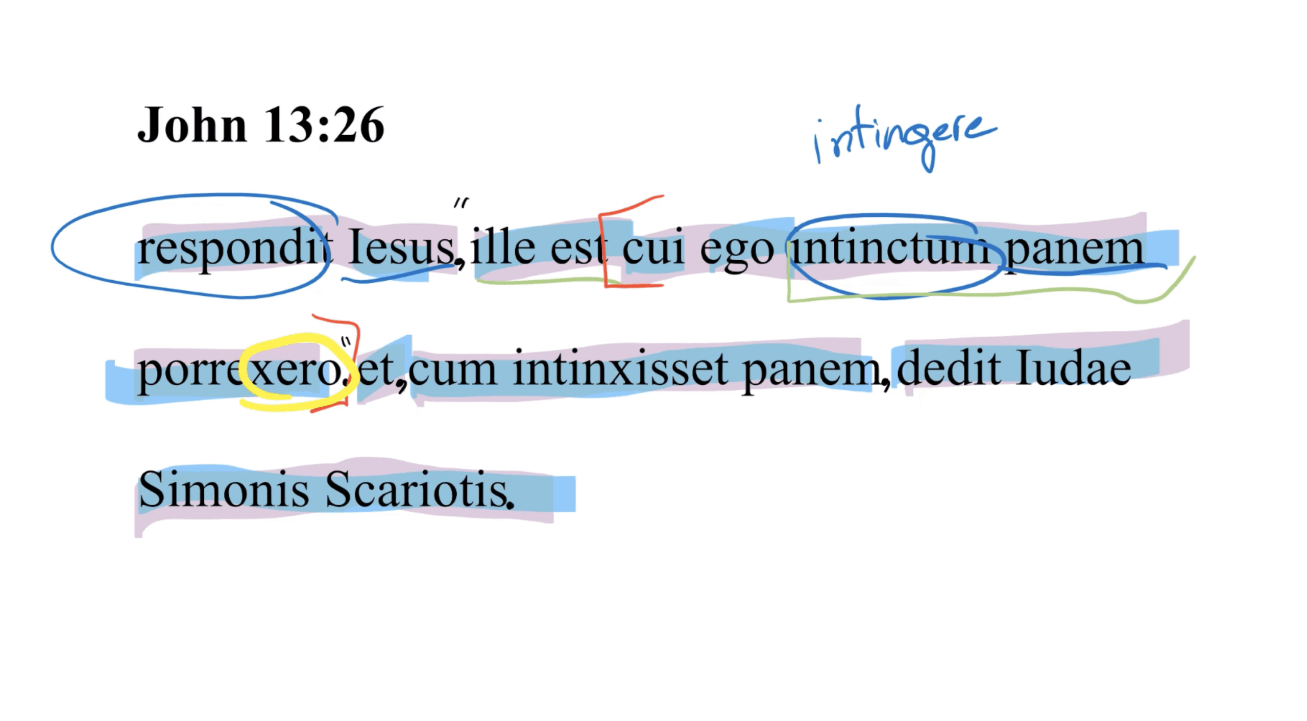 John 13:26 Latin Vulgate