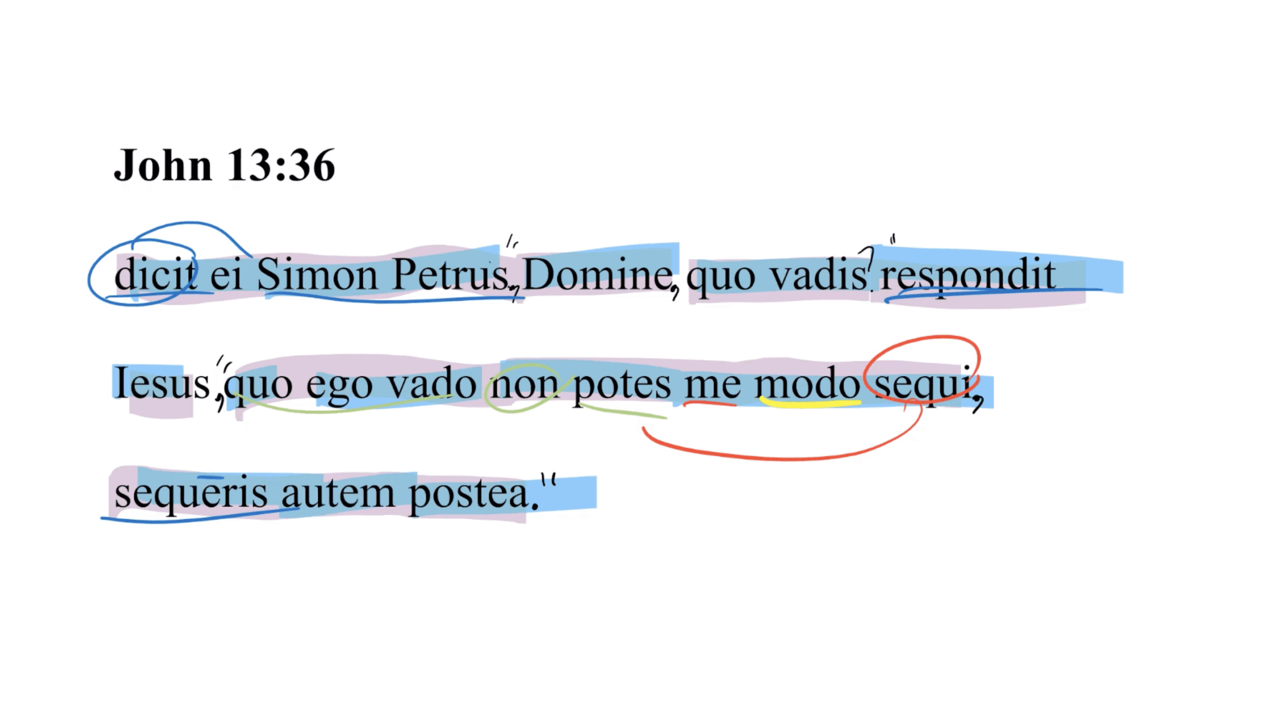 John 13:36 Latin Vulgate