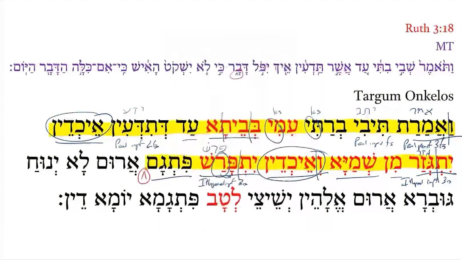 TR Ruth 3:18a