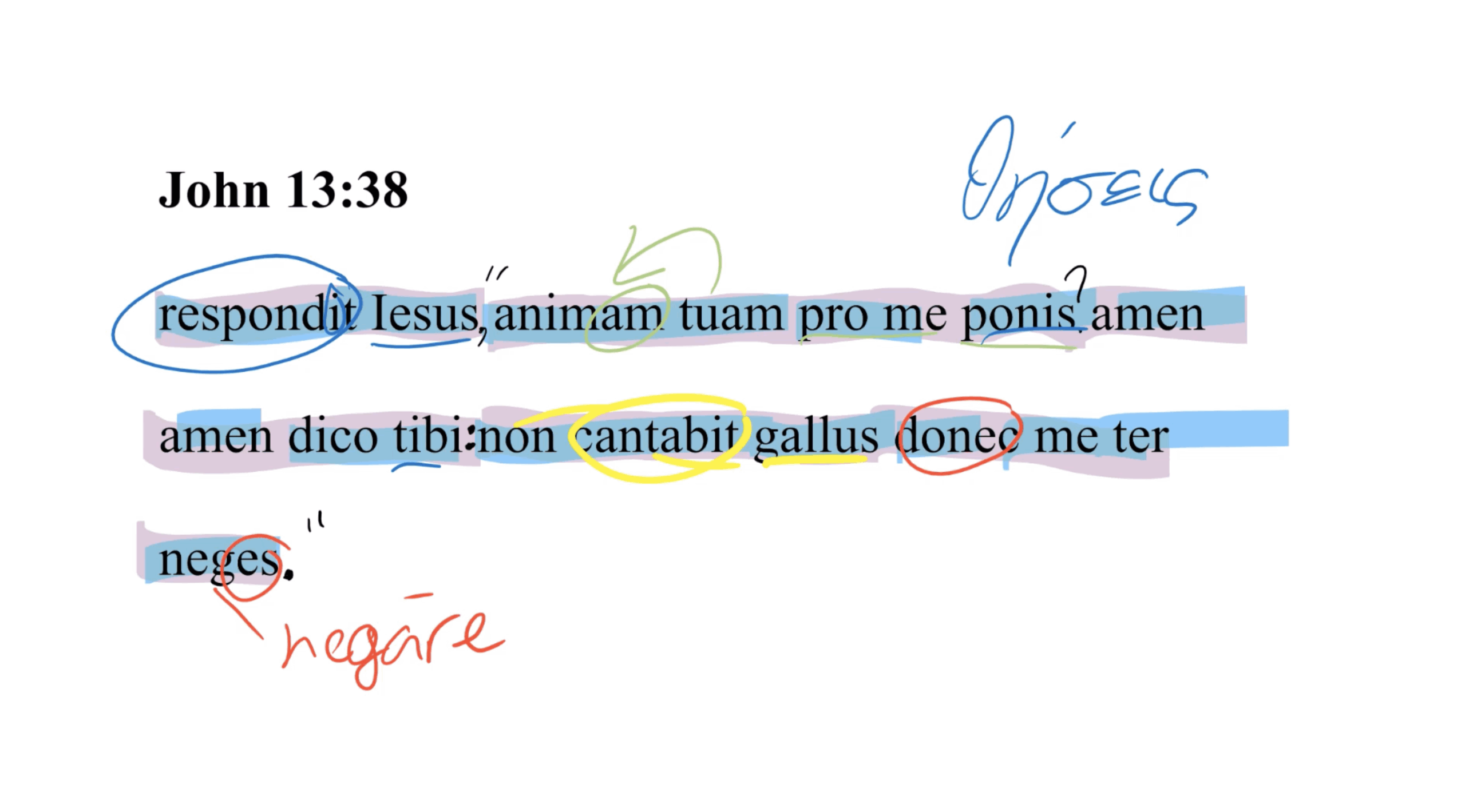 John 13:38 Latin Vulgate