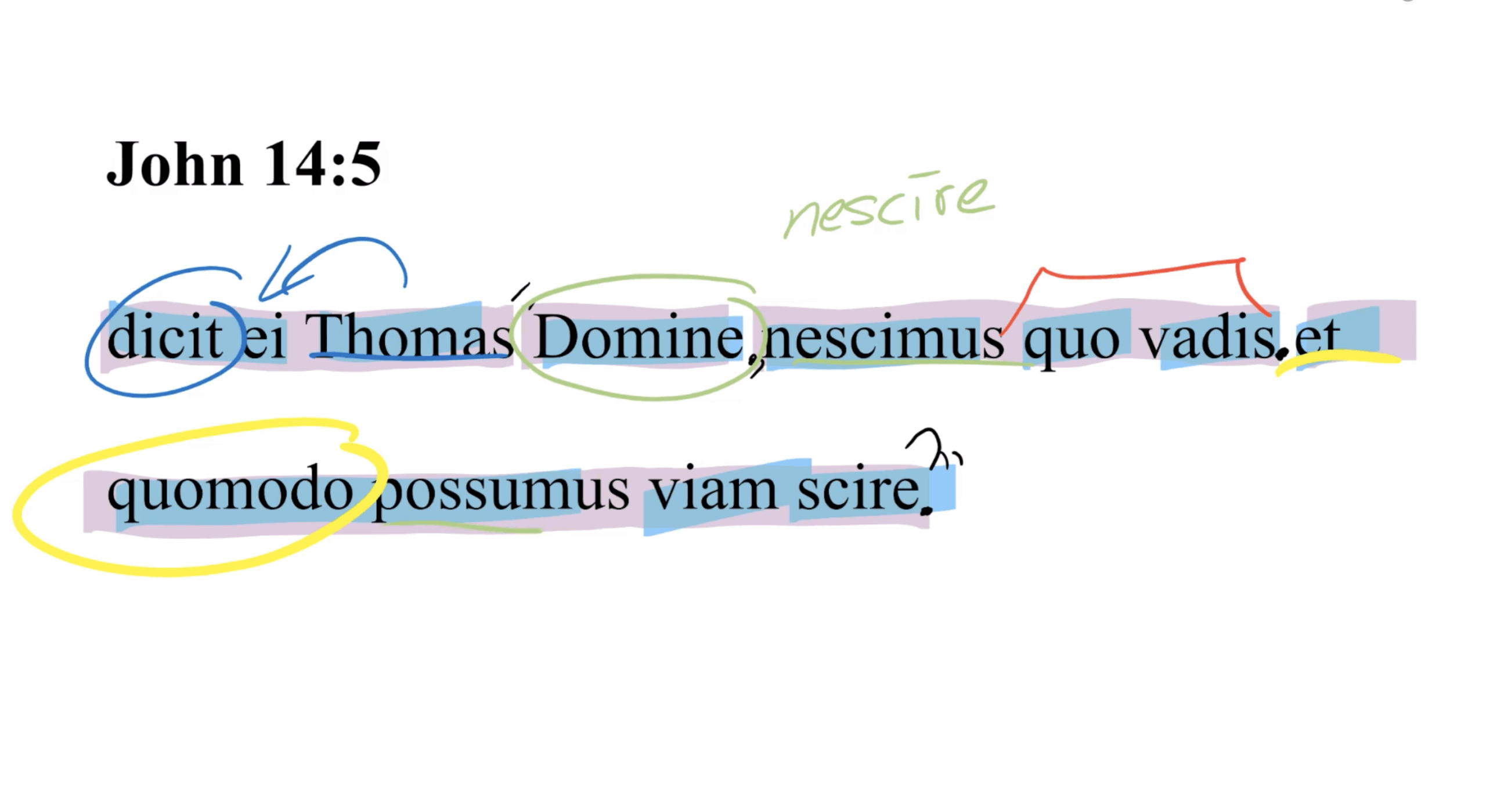 John 14:5 Latin Vulgate