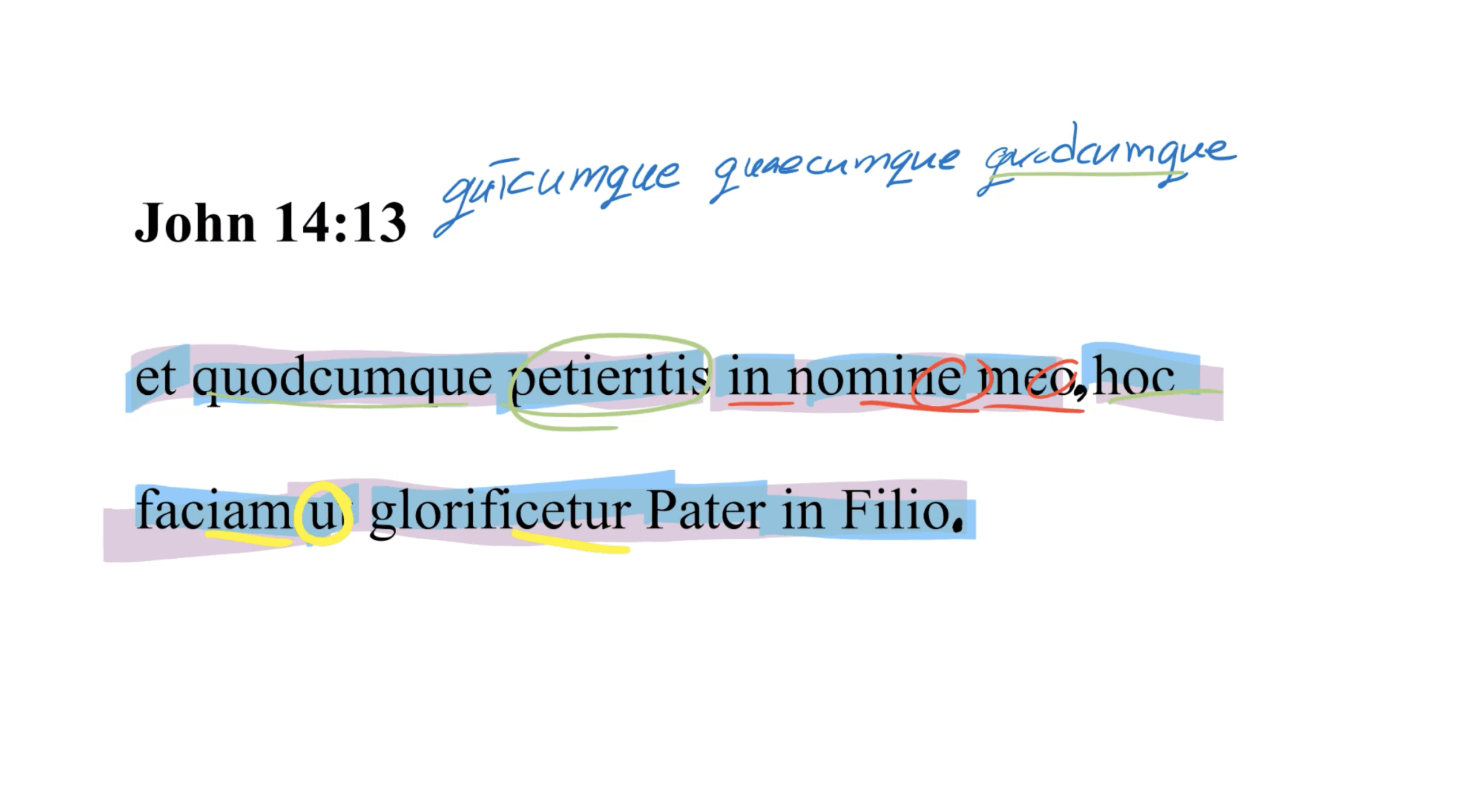 John 14:13 Latin Vulgate