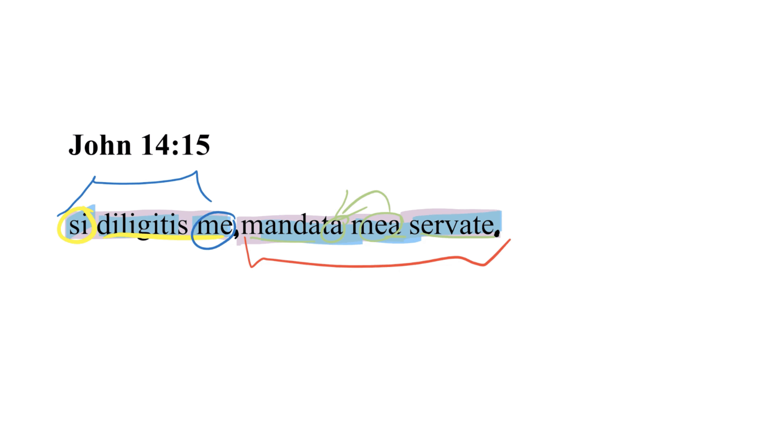John 14:15 Latin Vulgate