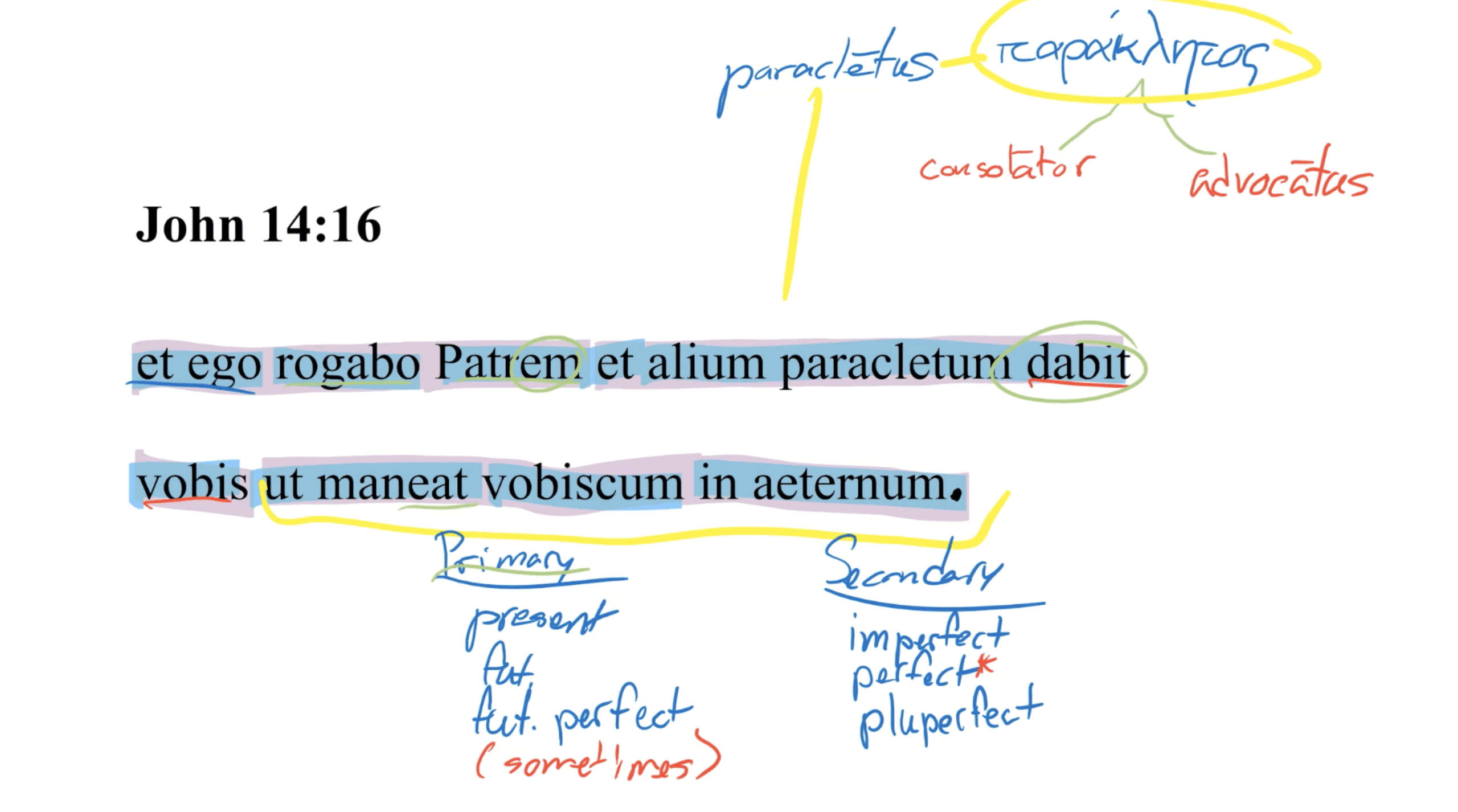 John 14:16 Latin Vulgate