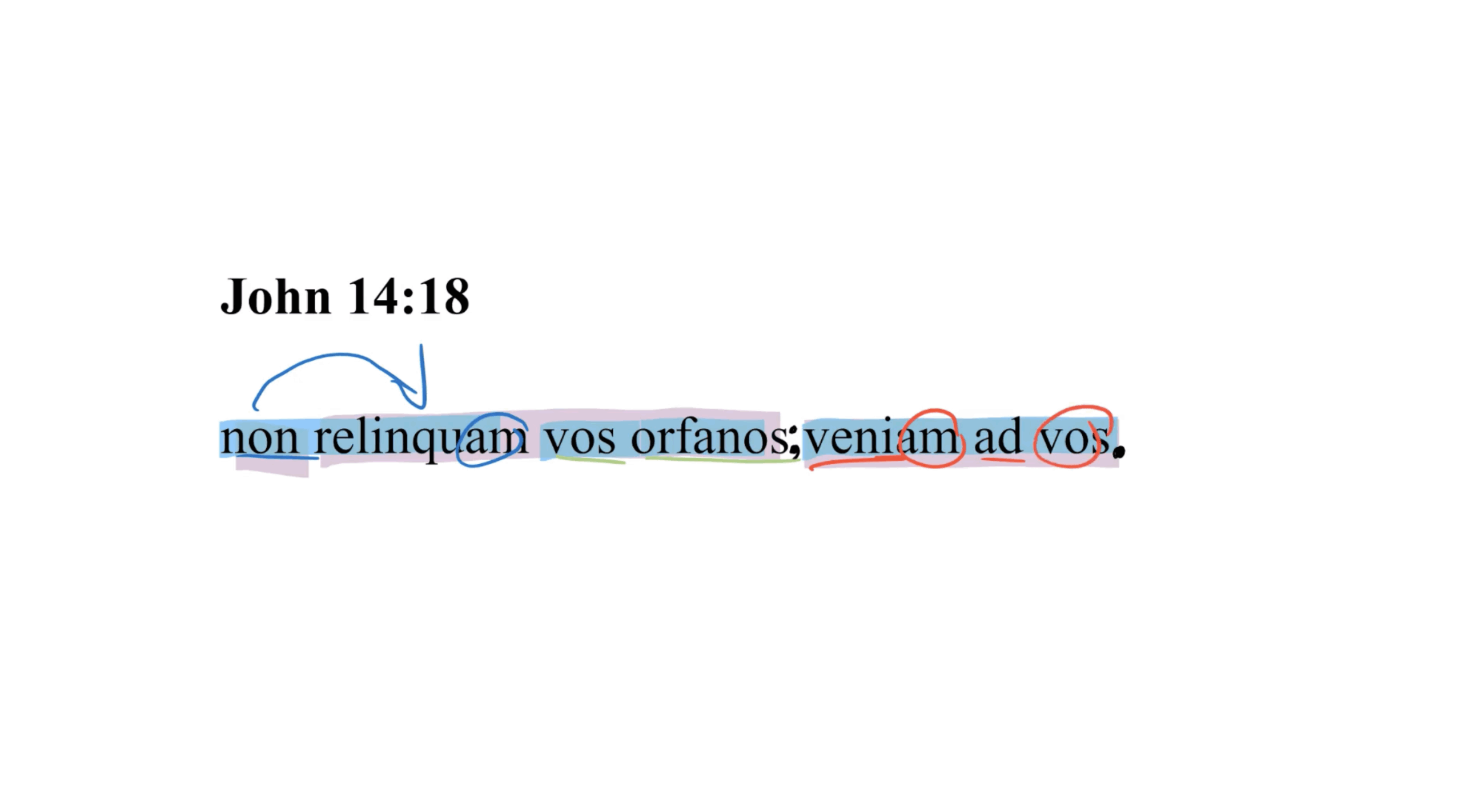 John 14:18 Latin Vulgate