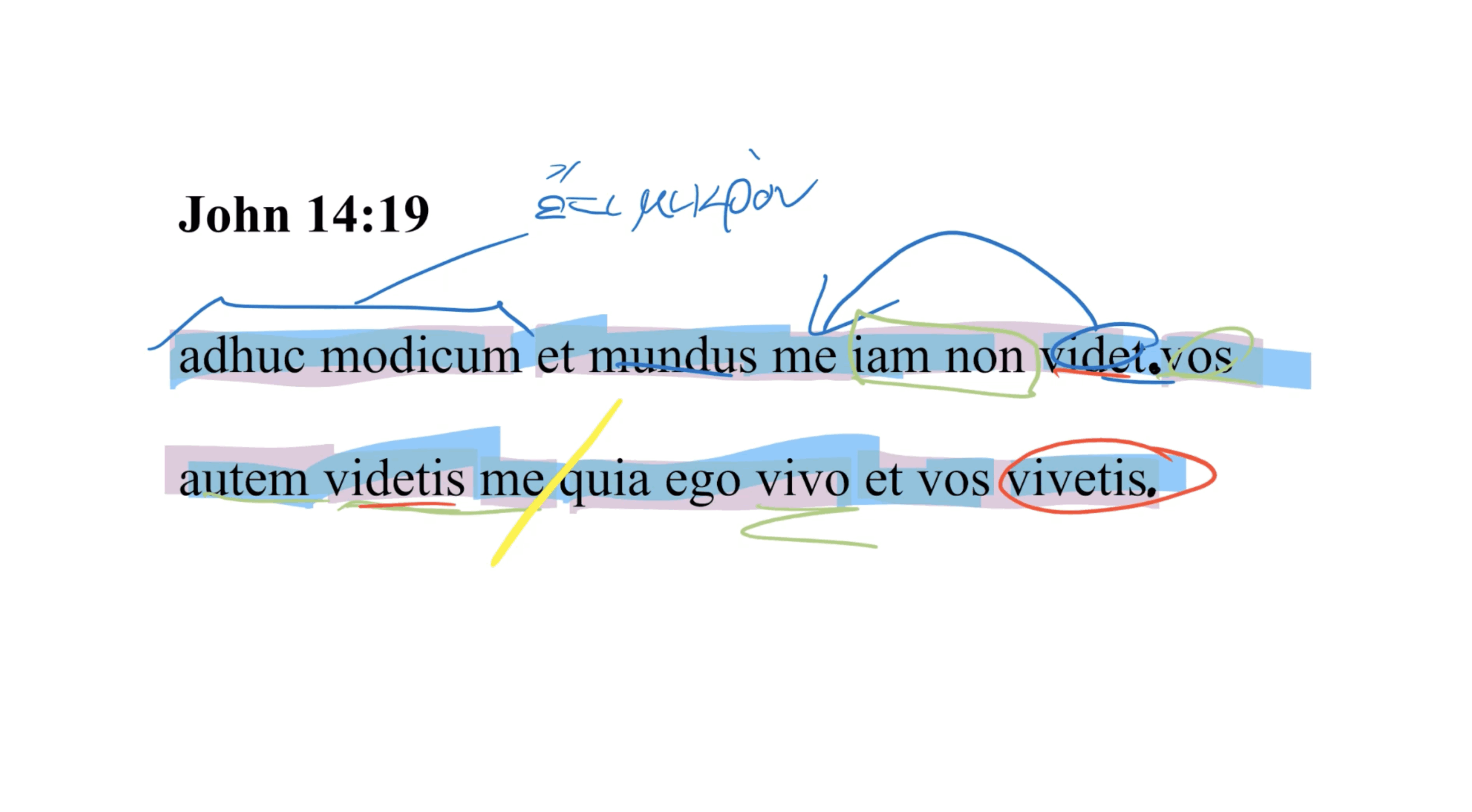 John 14:19 Latin Vulgate