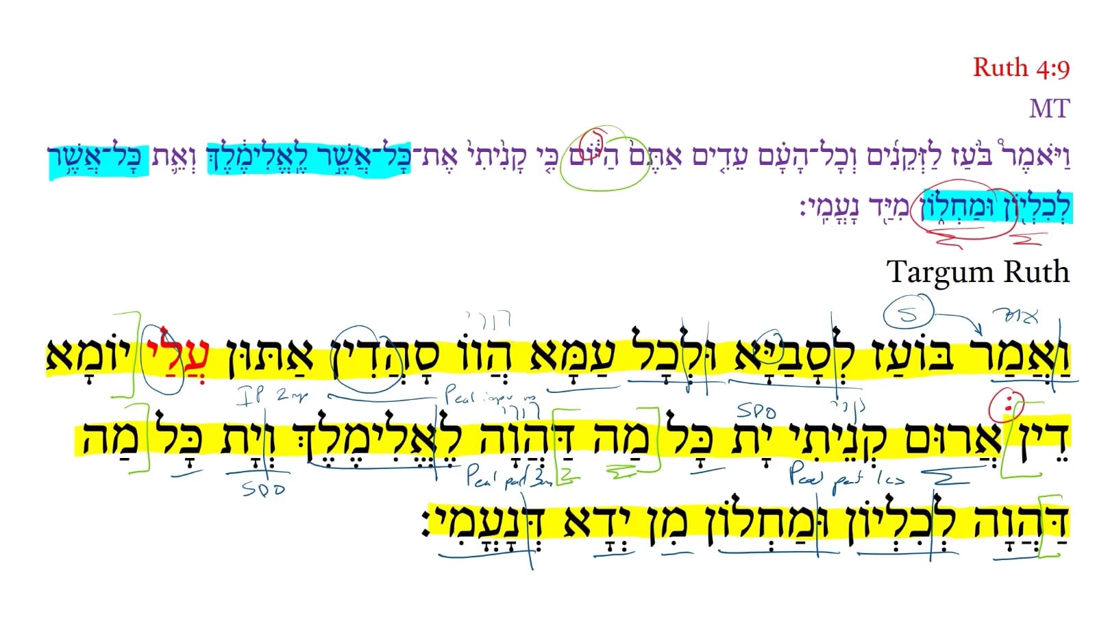 TR Ruth 4:9b