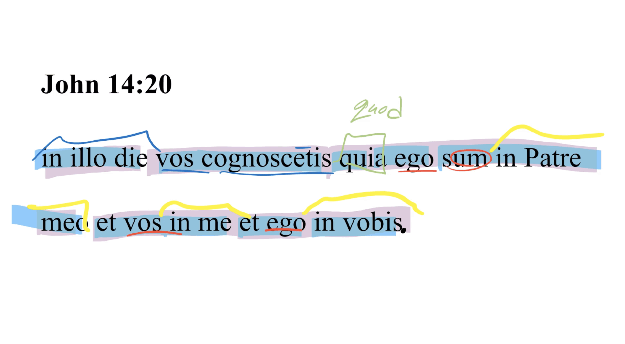 John 14:20 Latin Vulgate
