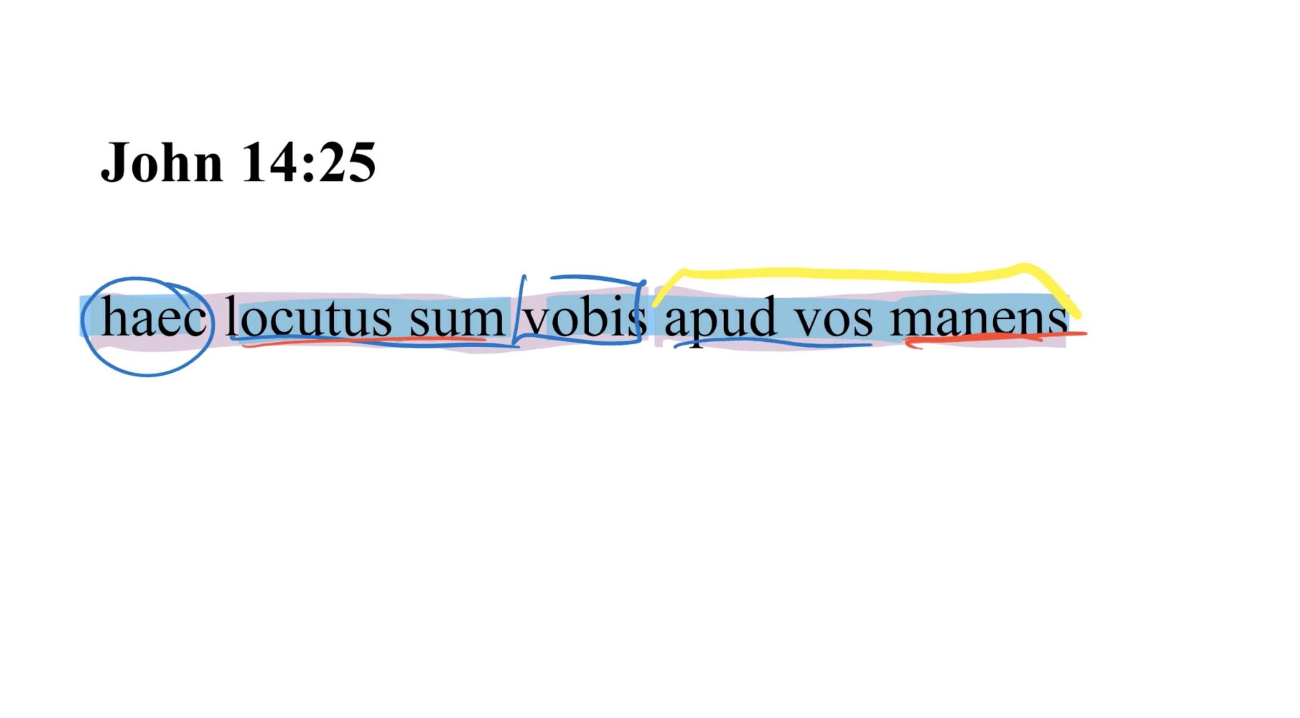 John 14:25 Latin Vulgate