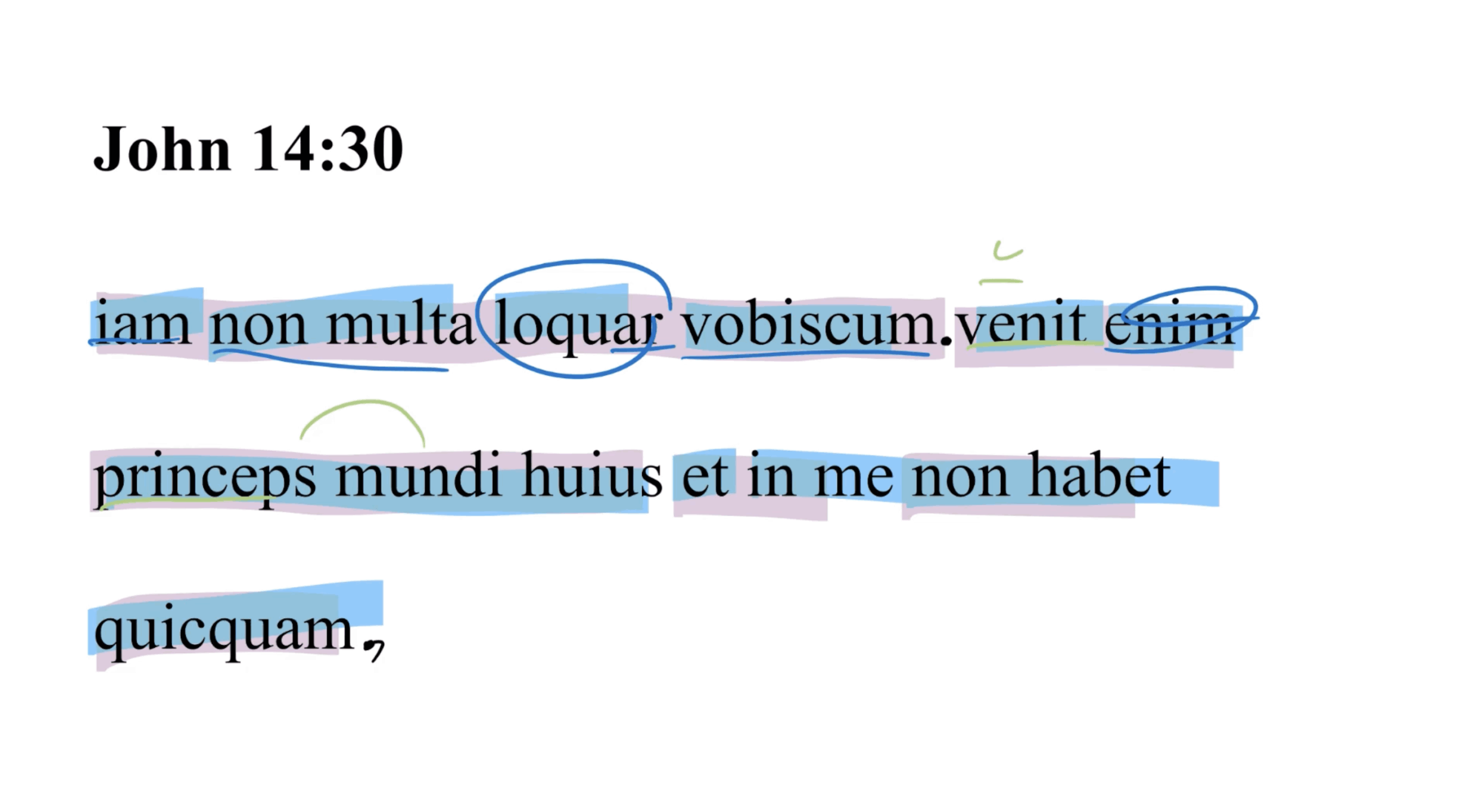 John 14:30 Latin Vulgate