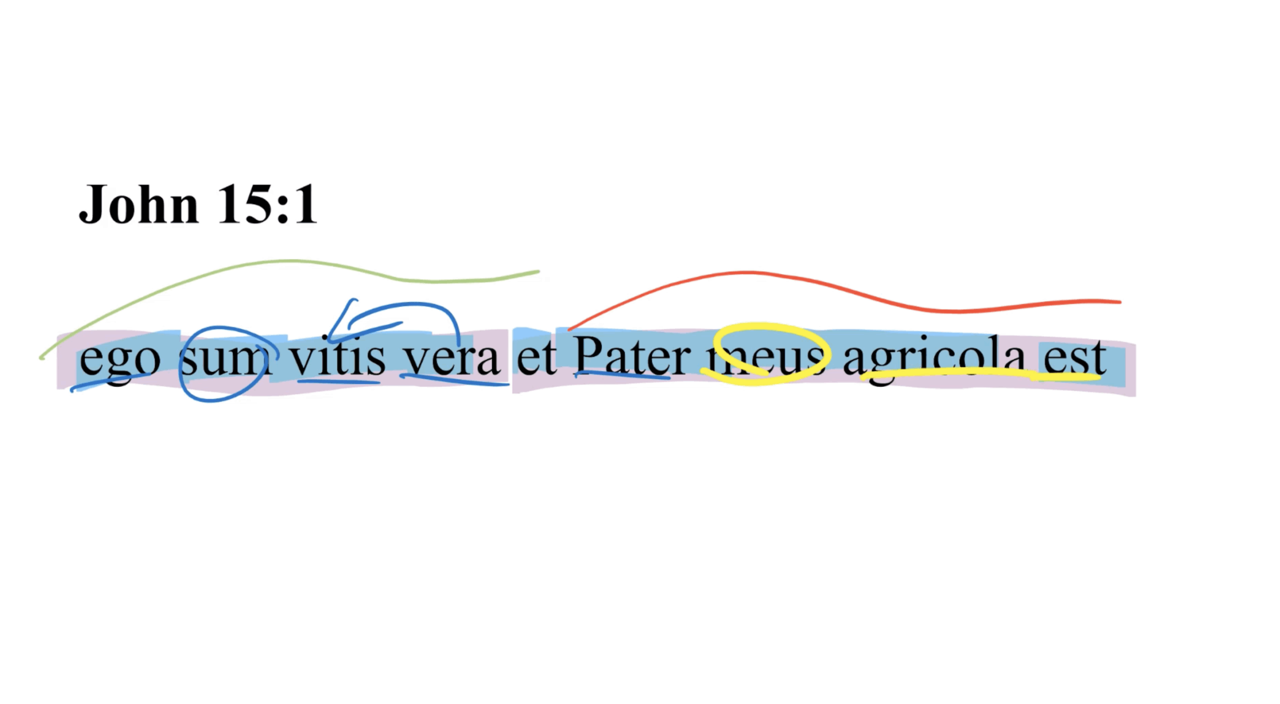 John 15:1 Latin Vulgate