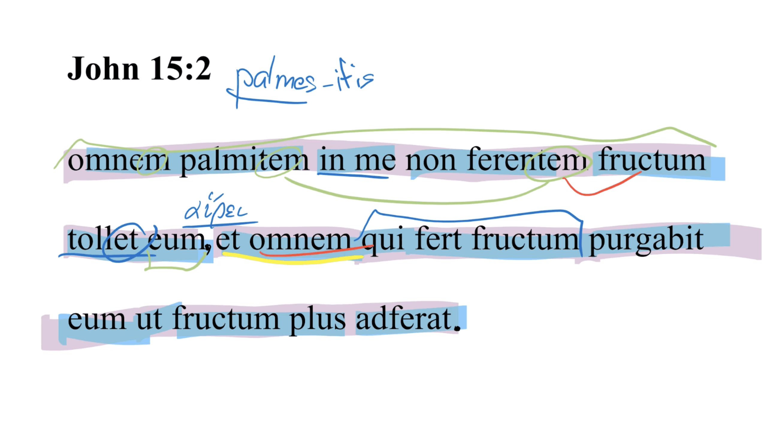 John 15:2 Latin Vulgate