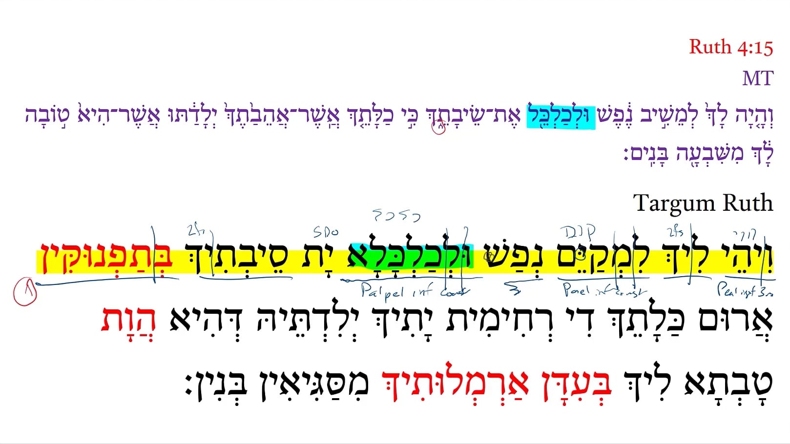 TR Ruth 4:15b