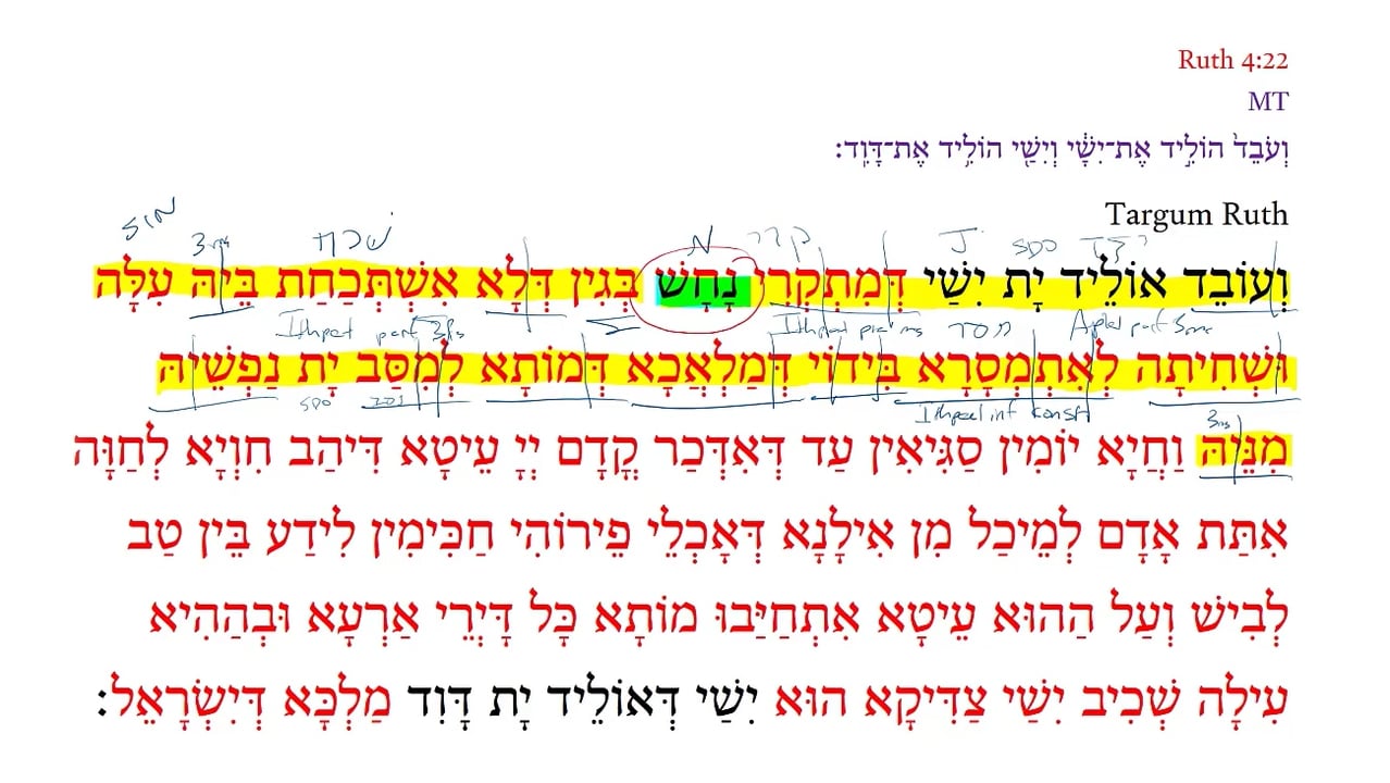 TR Ruth 4:22b