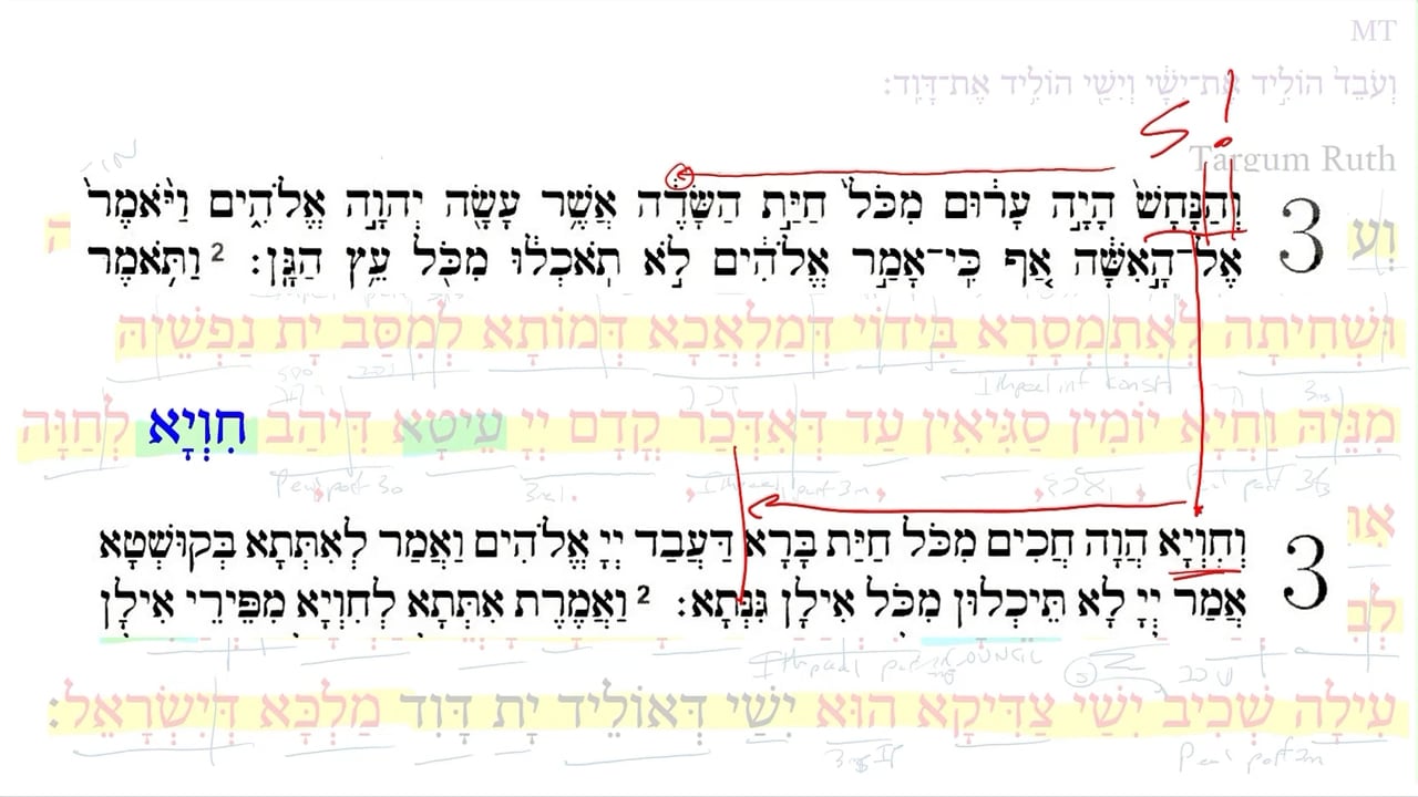 TR Ruth 4:22e