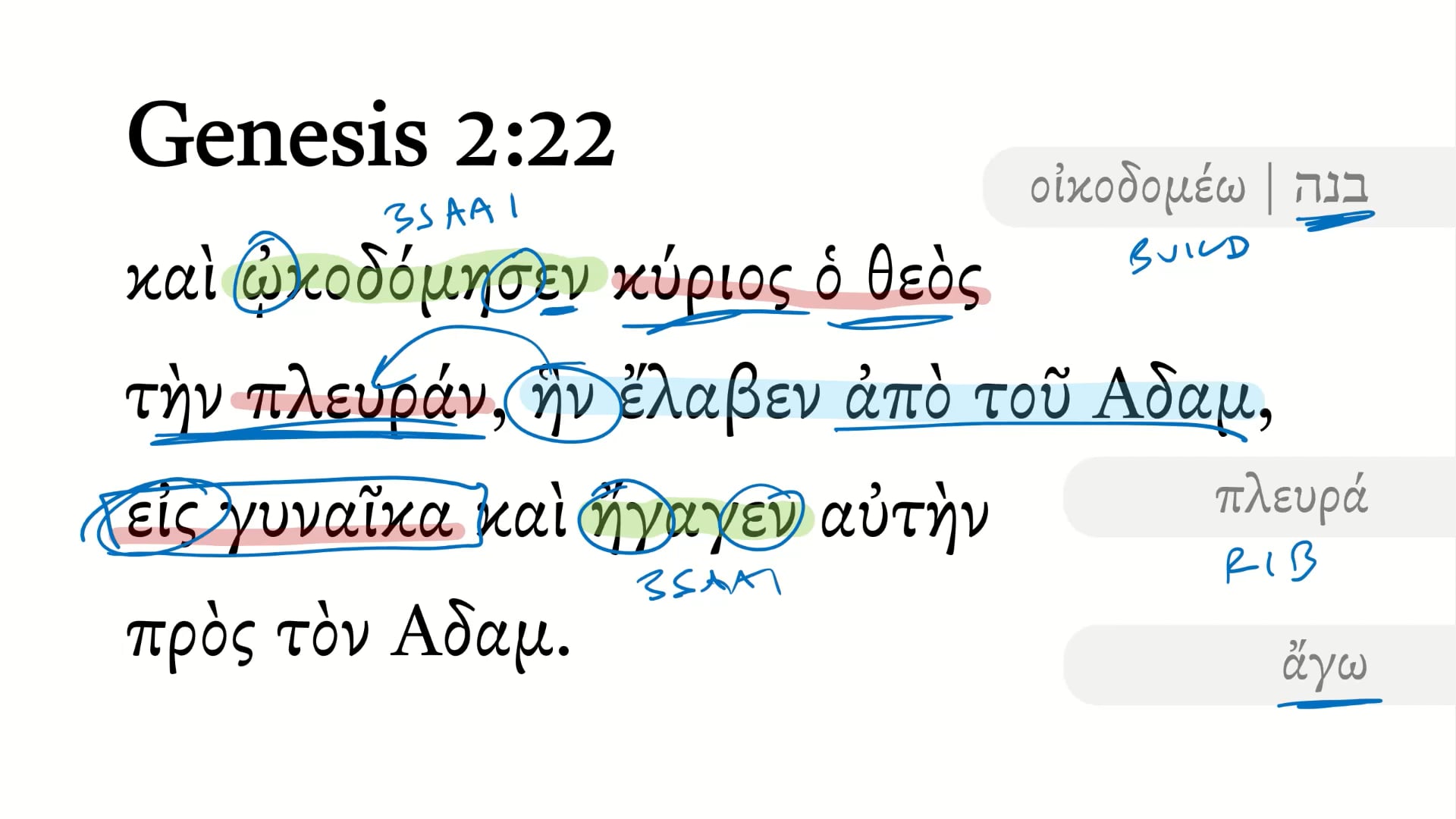 Genesis 2:22