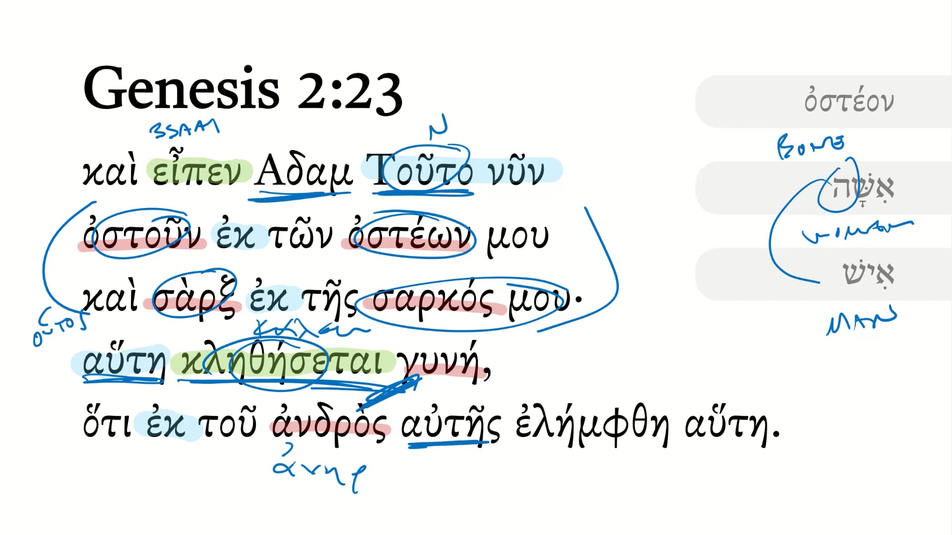 Genesis 2:23