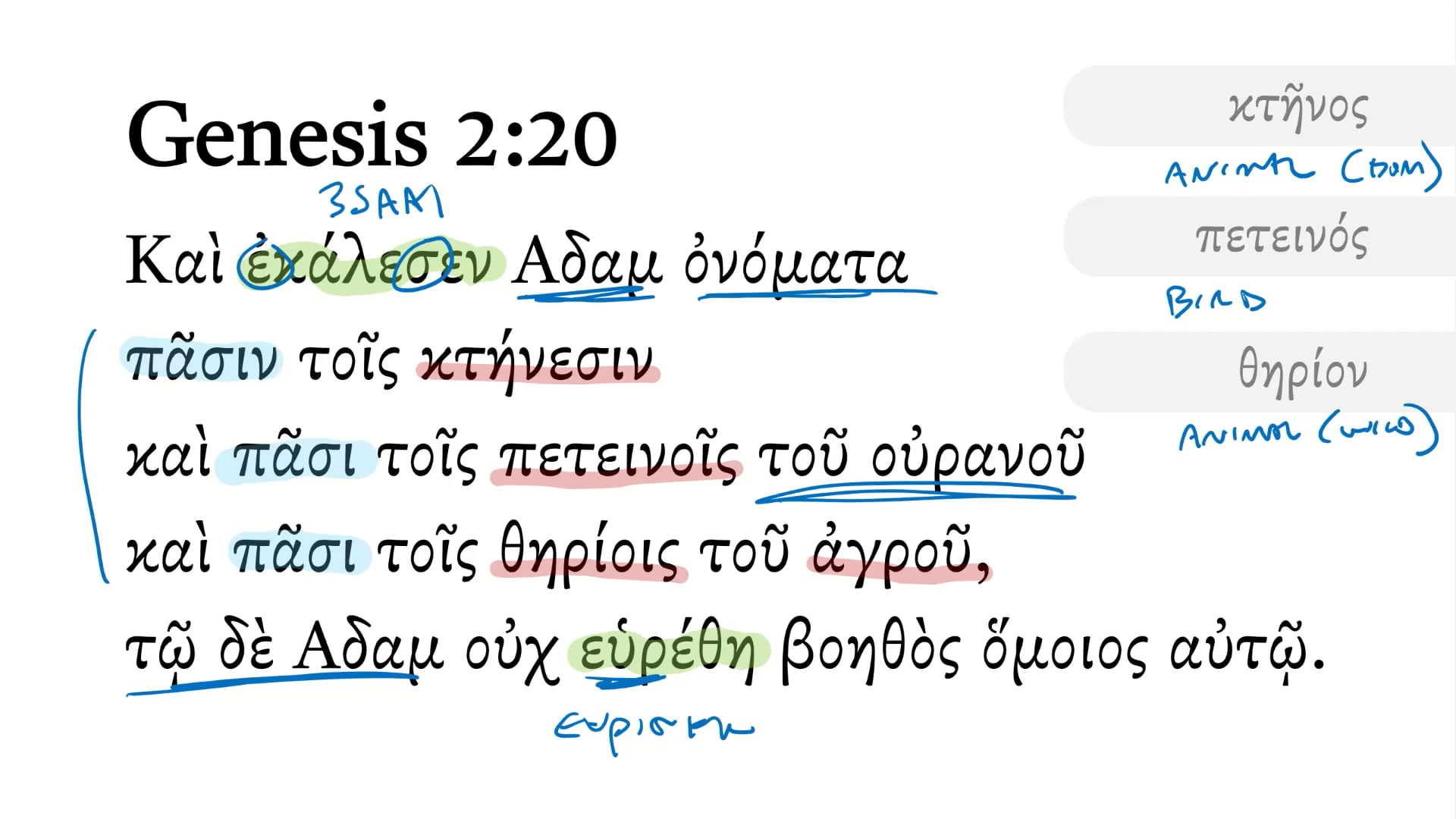 Genesis 2:20