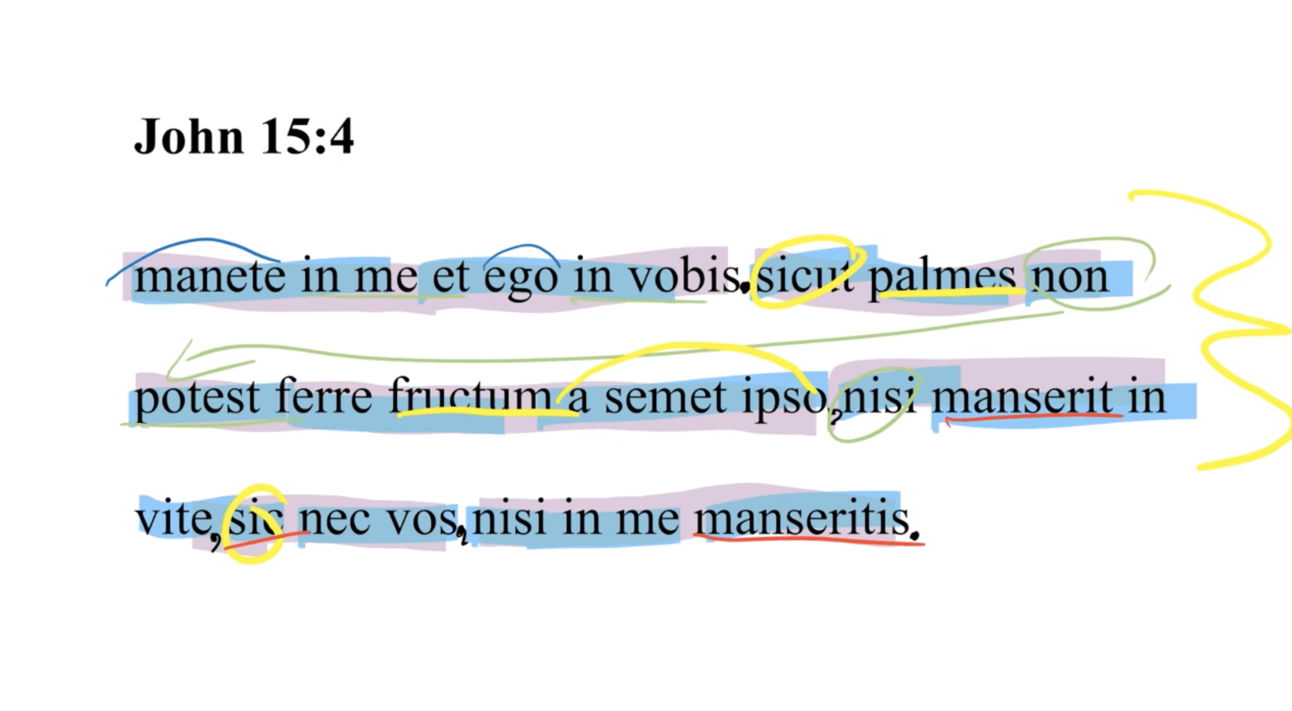 John 15:4 Latin Vulgate