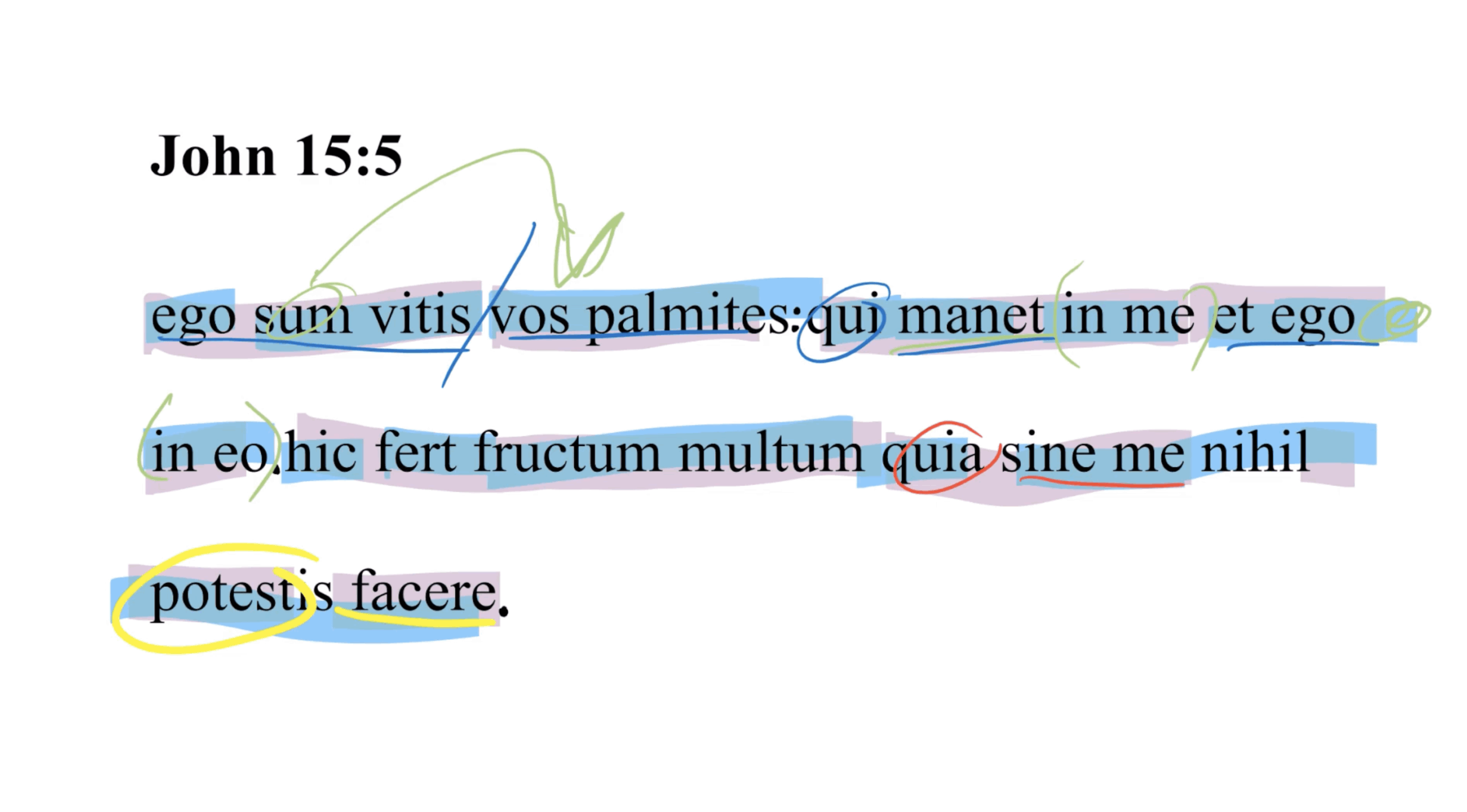 John 15:5 Latin Vulgate