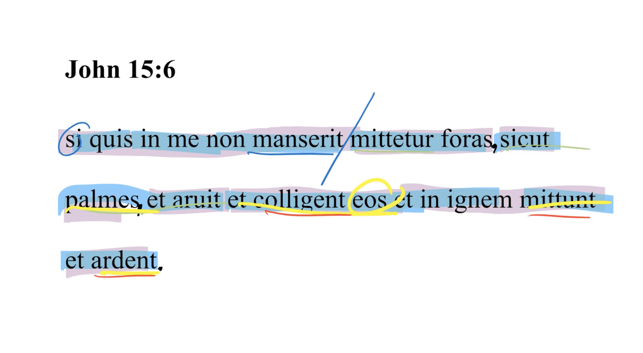 John 15:6 Latin Vulgate