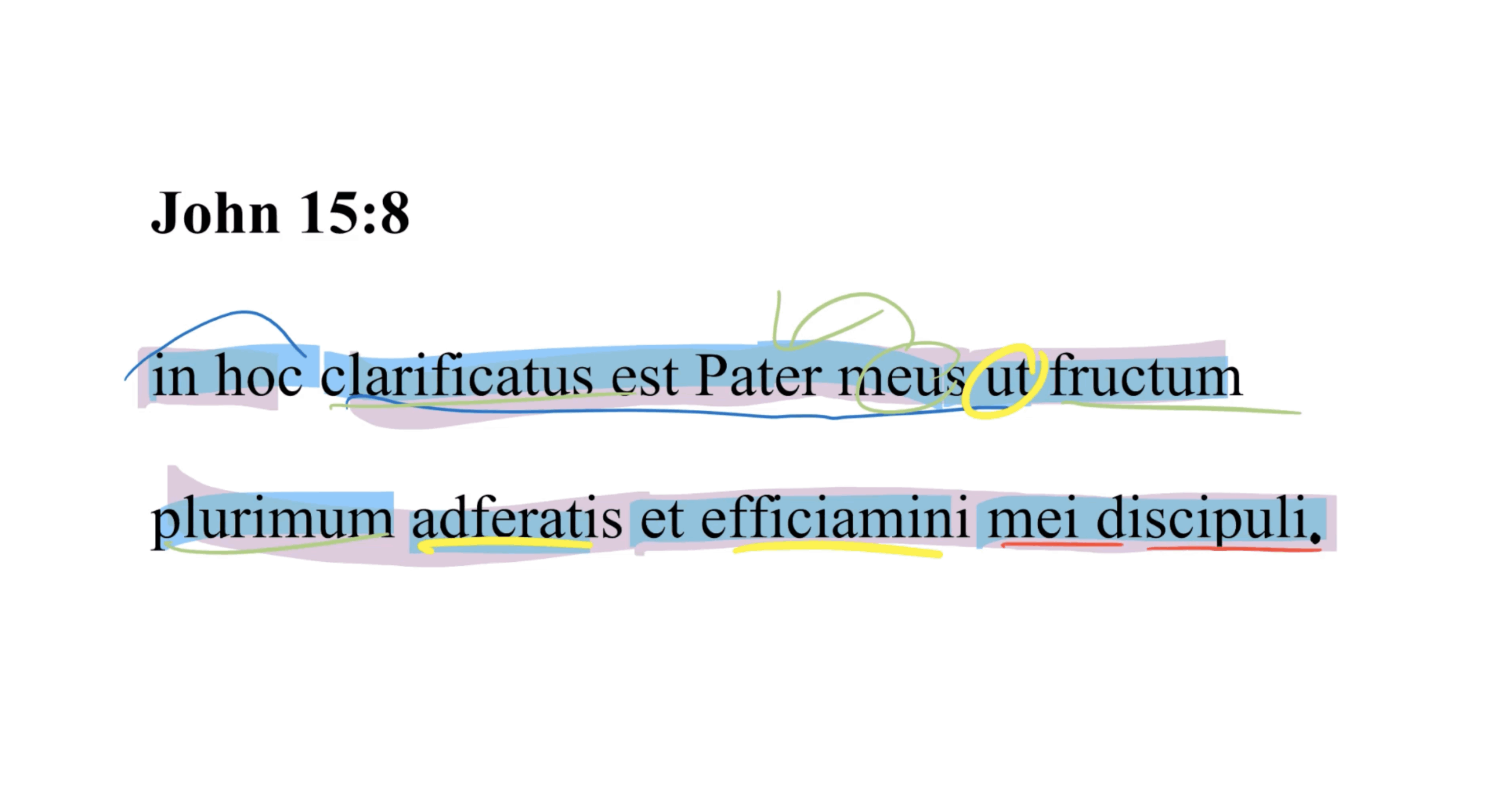 John 15:8 Latin Vulgate