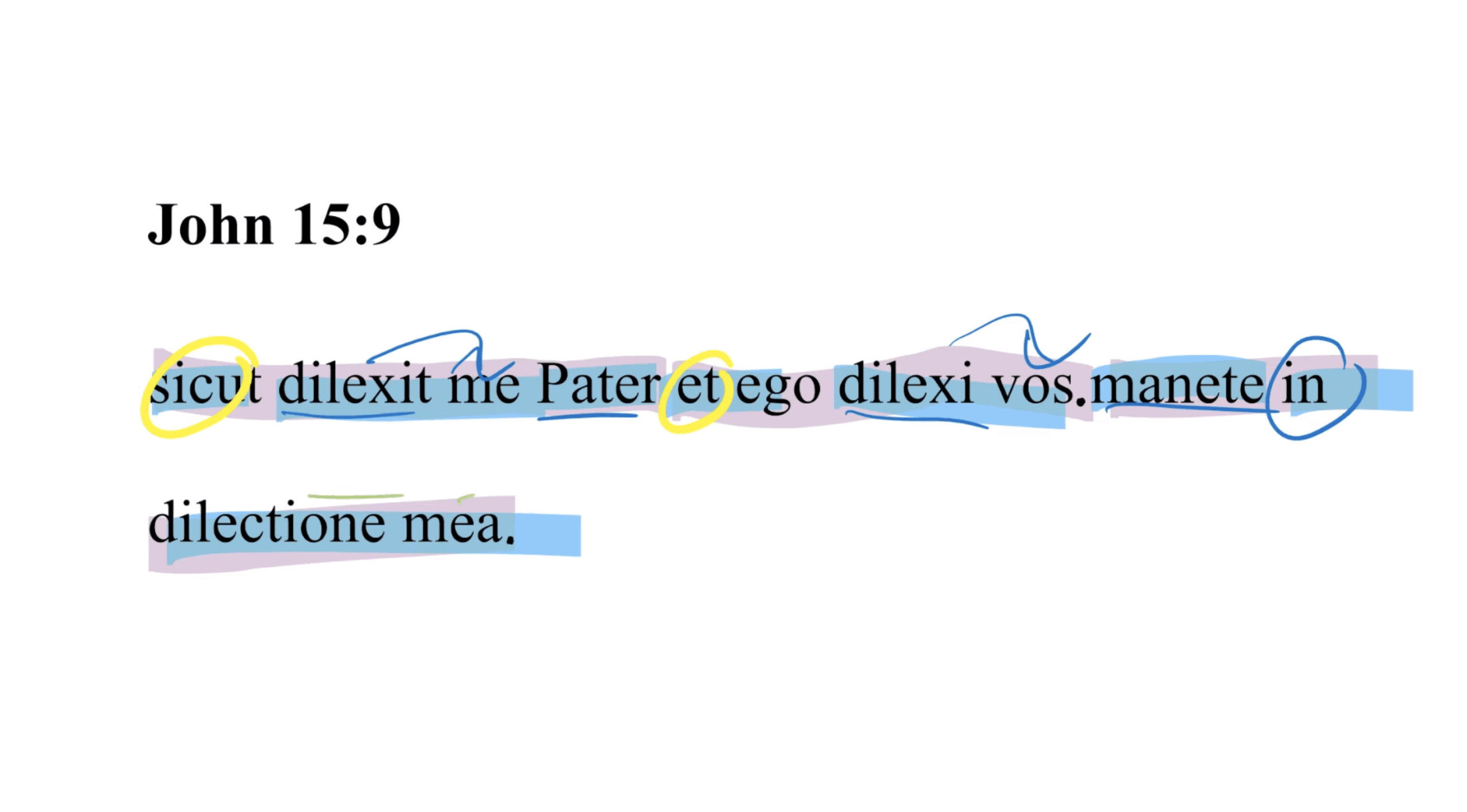 John 15:9 Latin Vulgate
