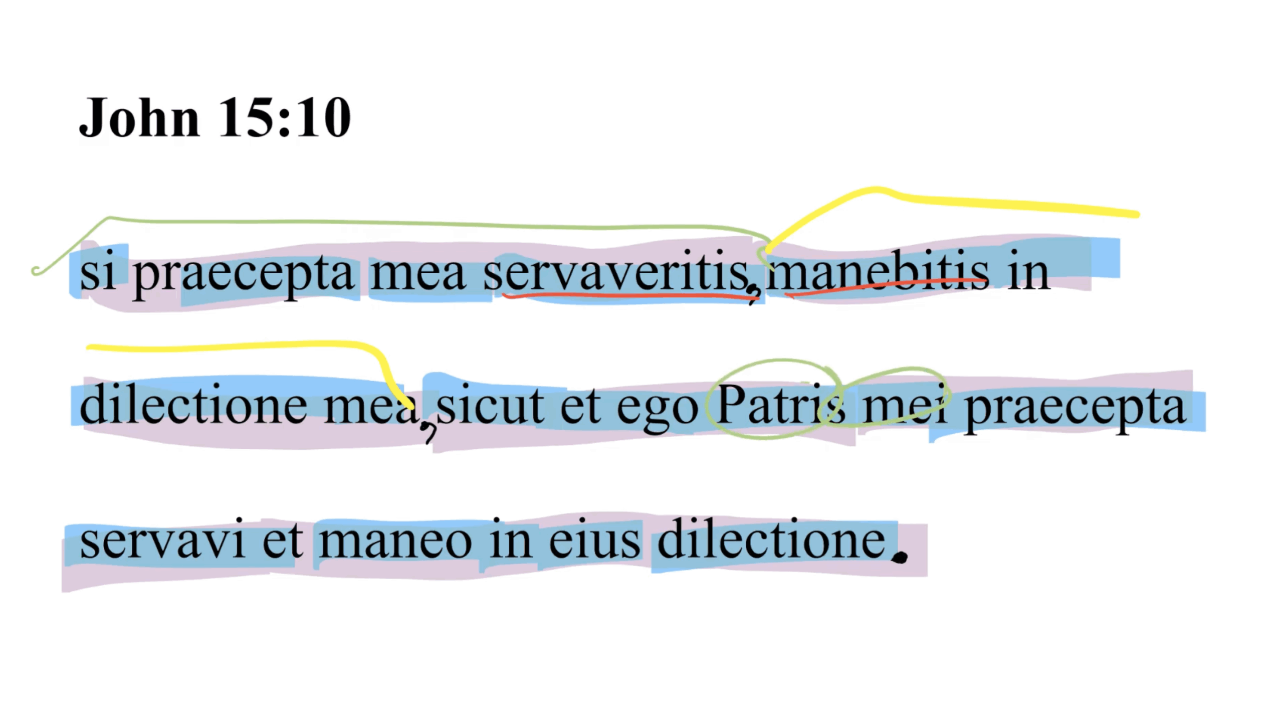 John 15:10 Latin Vulgate
