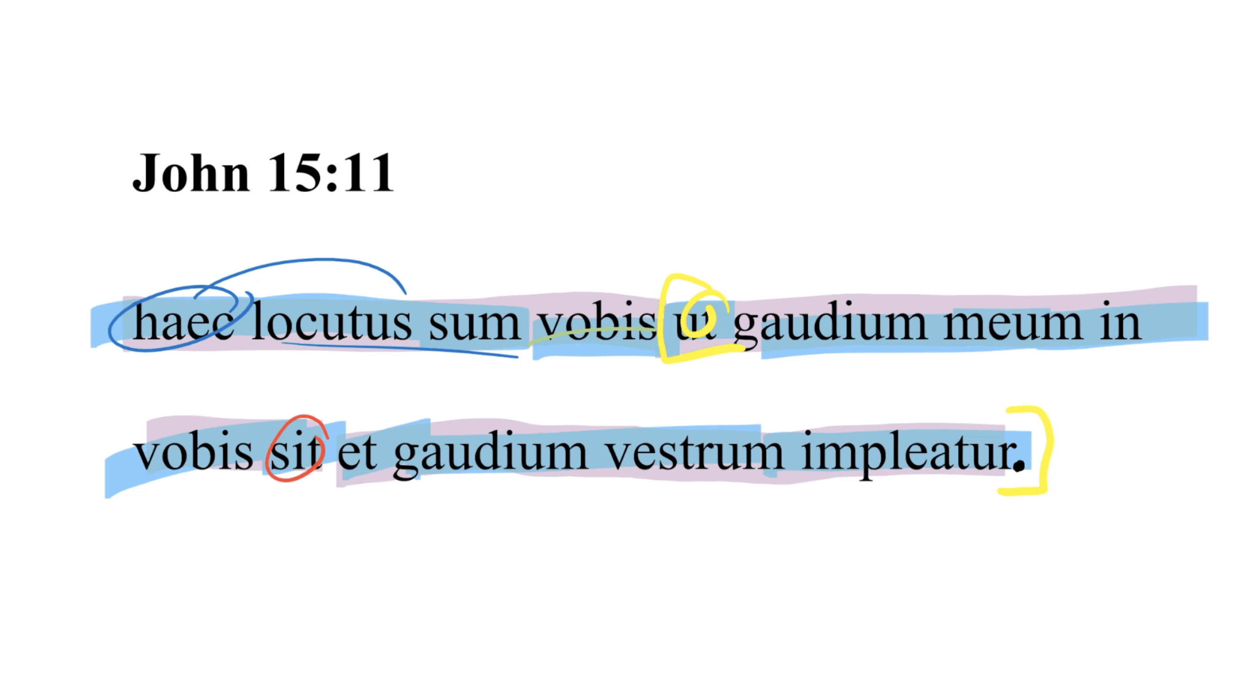John 15:11 Latin Vulgate