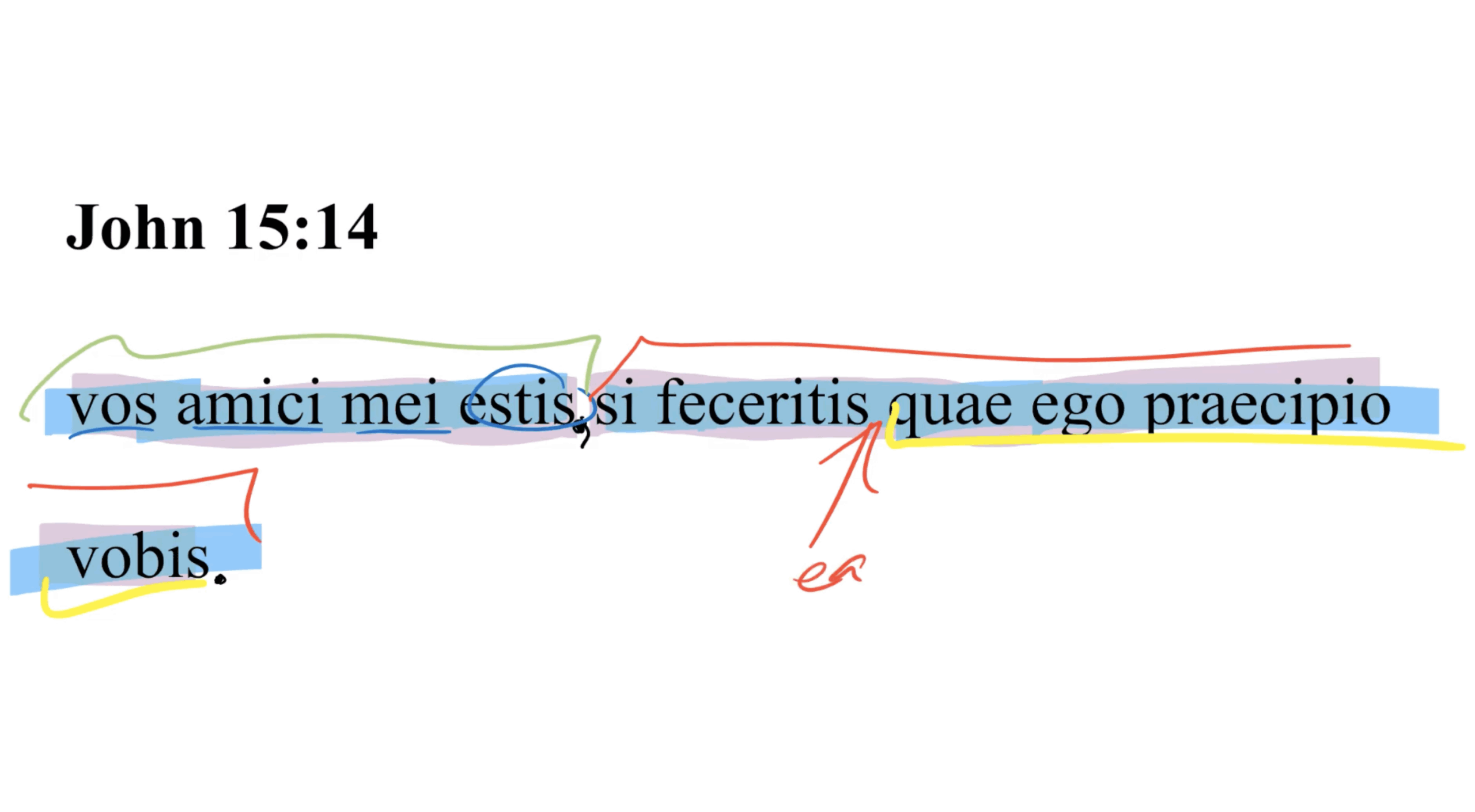 John 15:14 Latin Vulgate