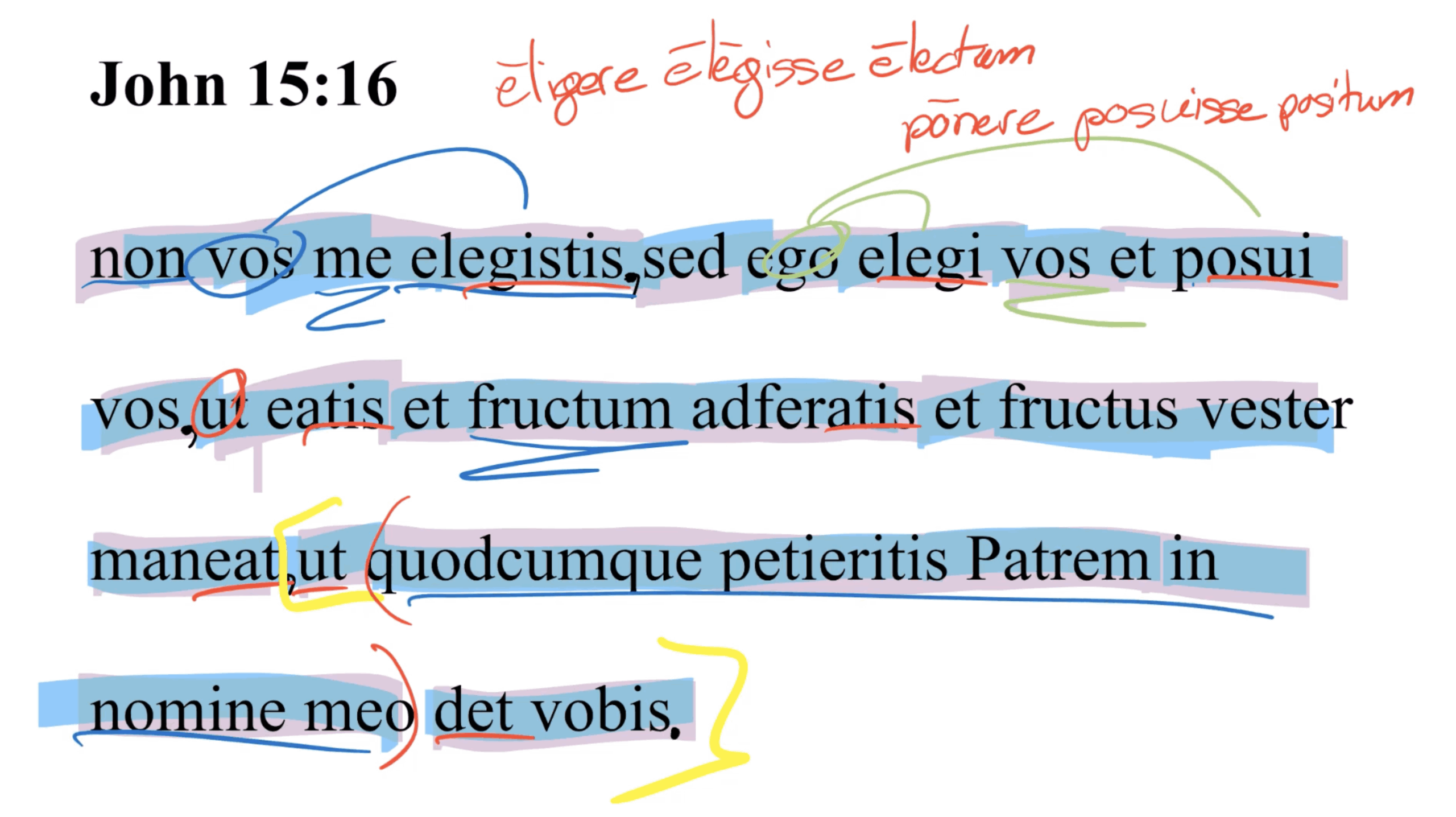 John 15:16 Latin Vulgate