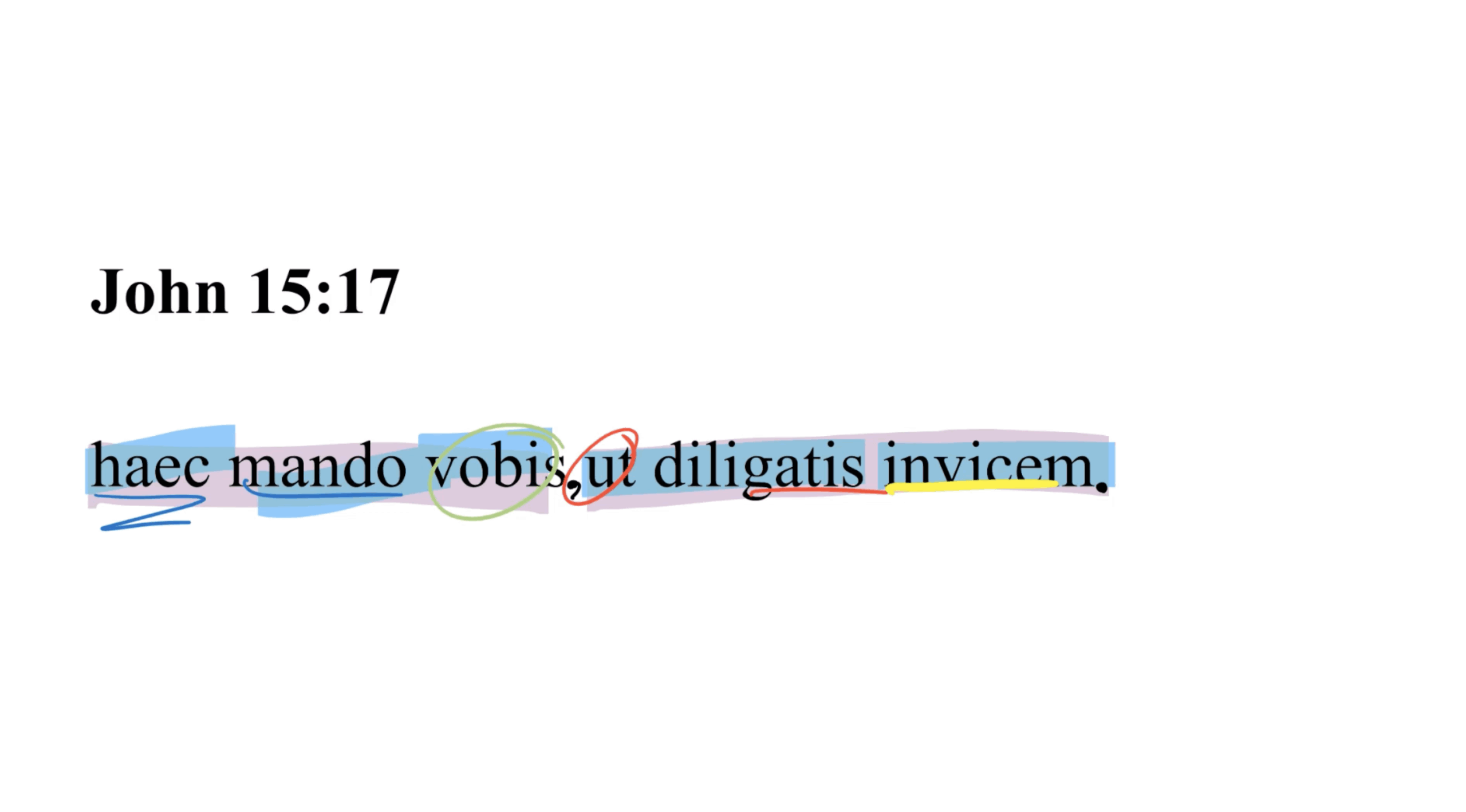 John 15:17 Latin Vulgate