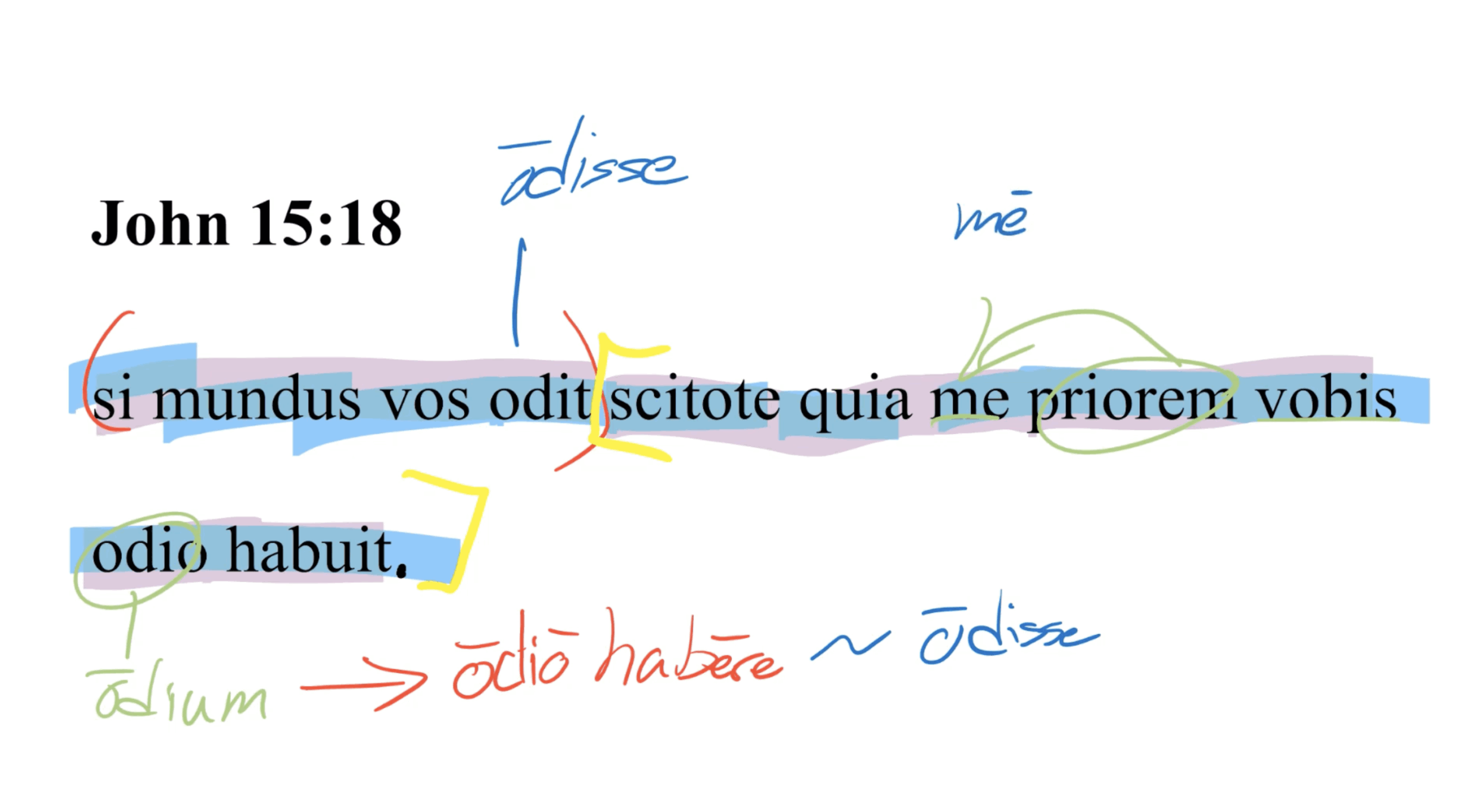 John 15:18 Latin Vulgate