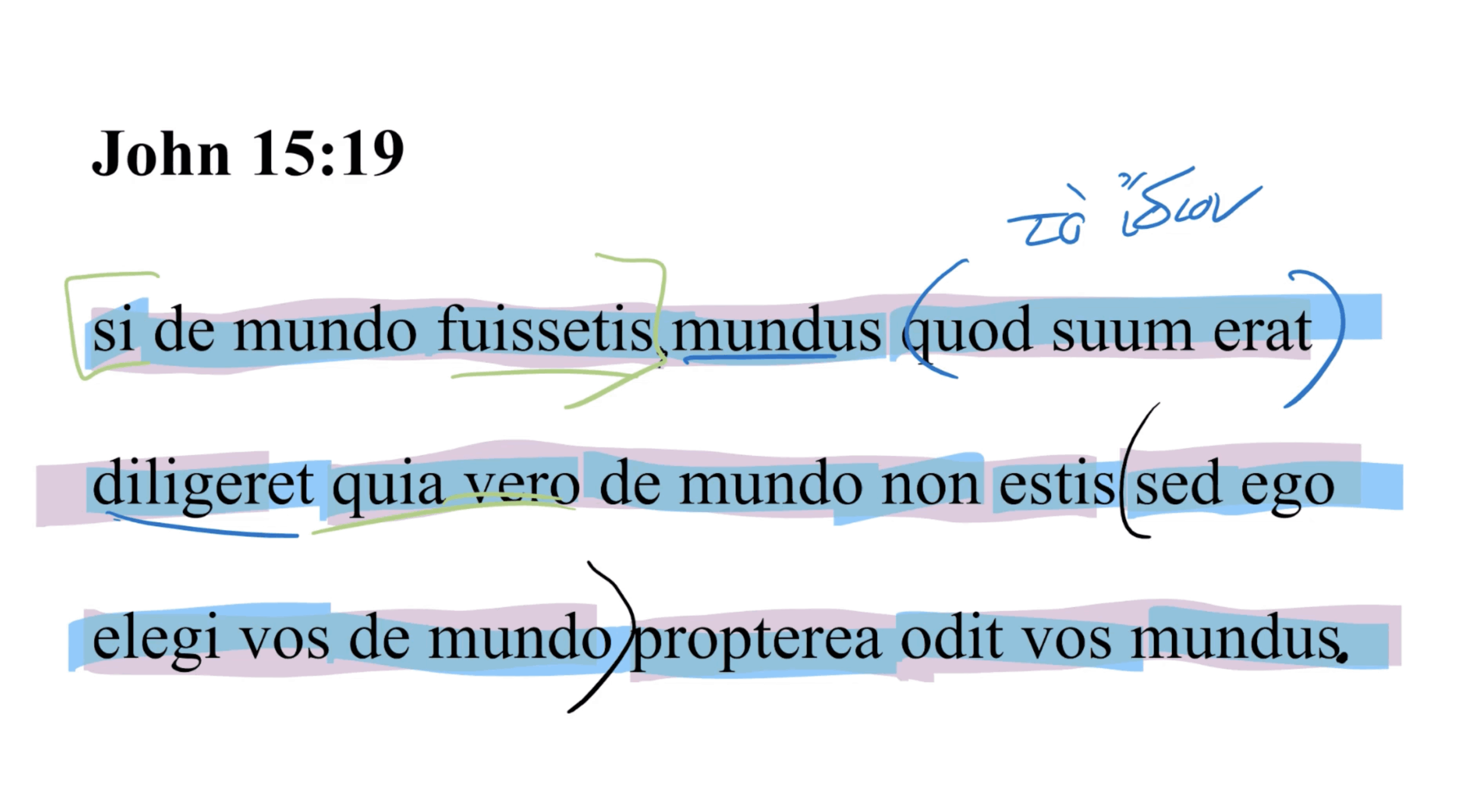John 15:19 Latin Vulgate