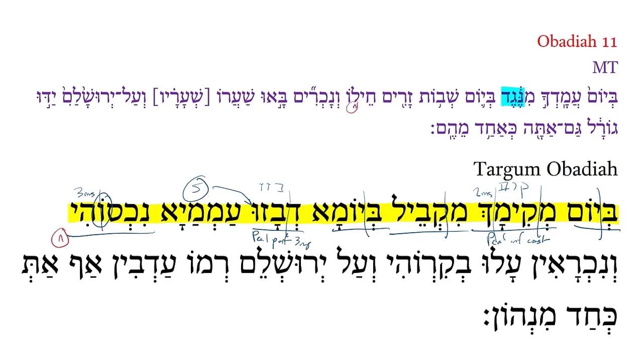TOb Obadiah 11a