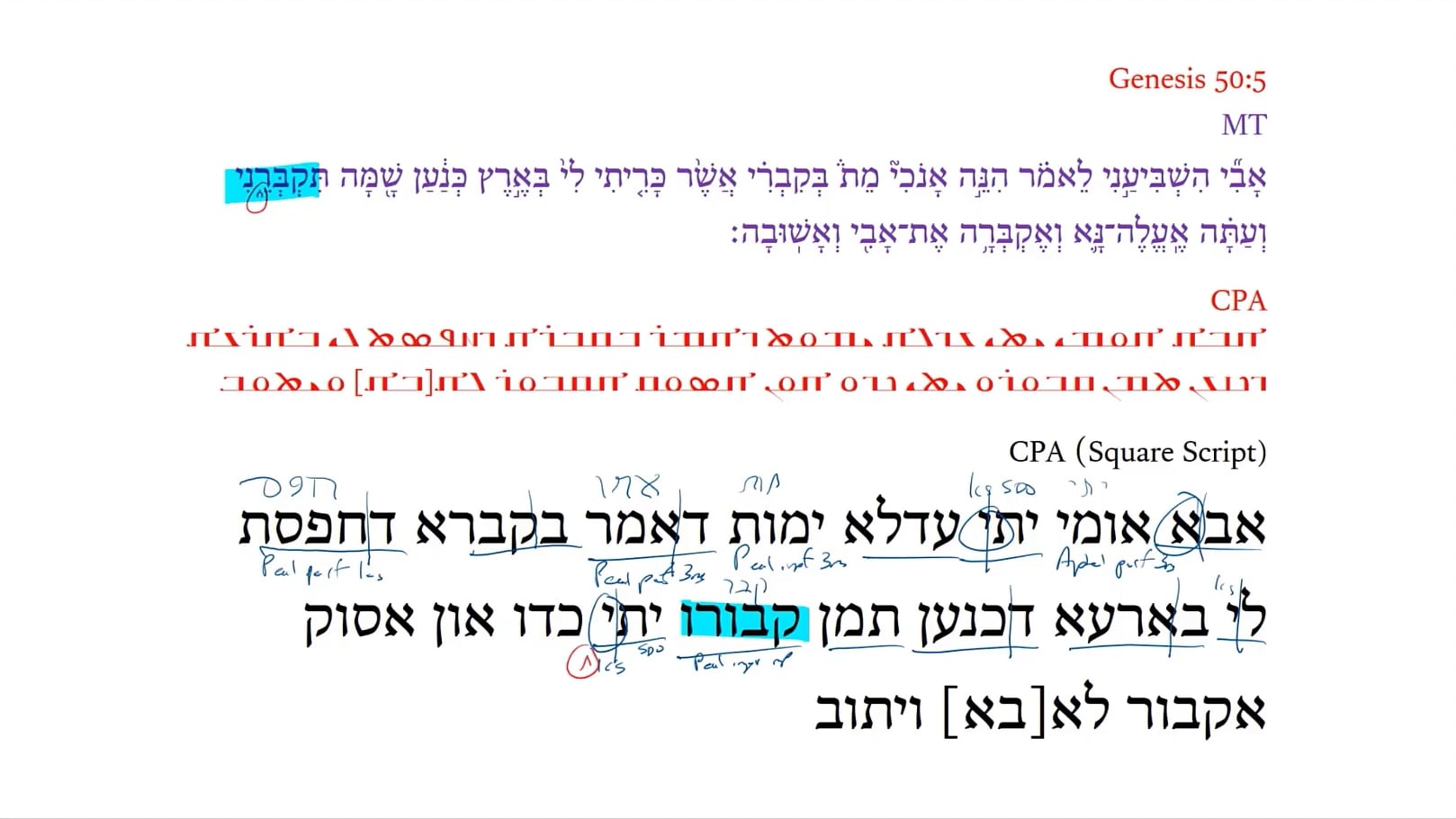 Christian Palestinian Aramaic Genesis 50:5a