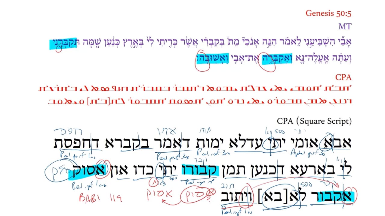 Christian Palestinian Aramaic Genesis 50:5b
