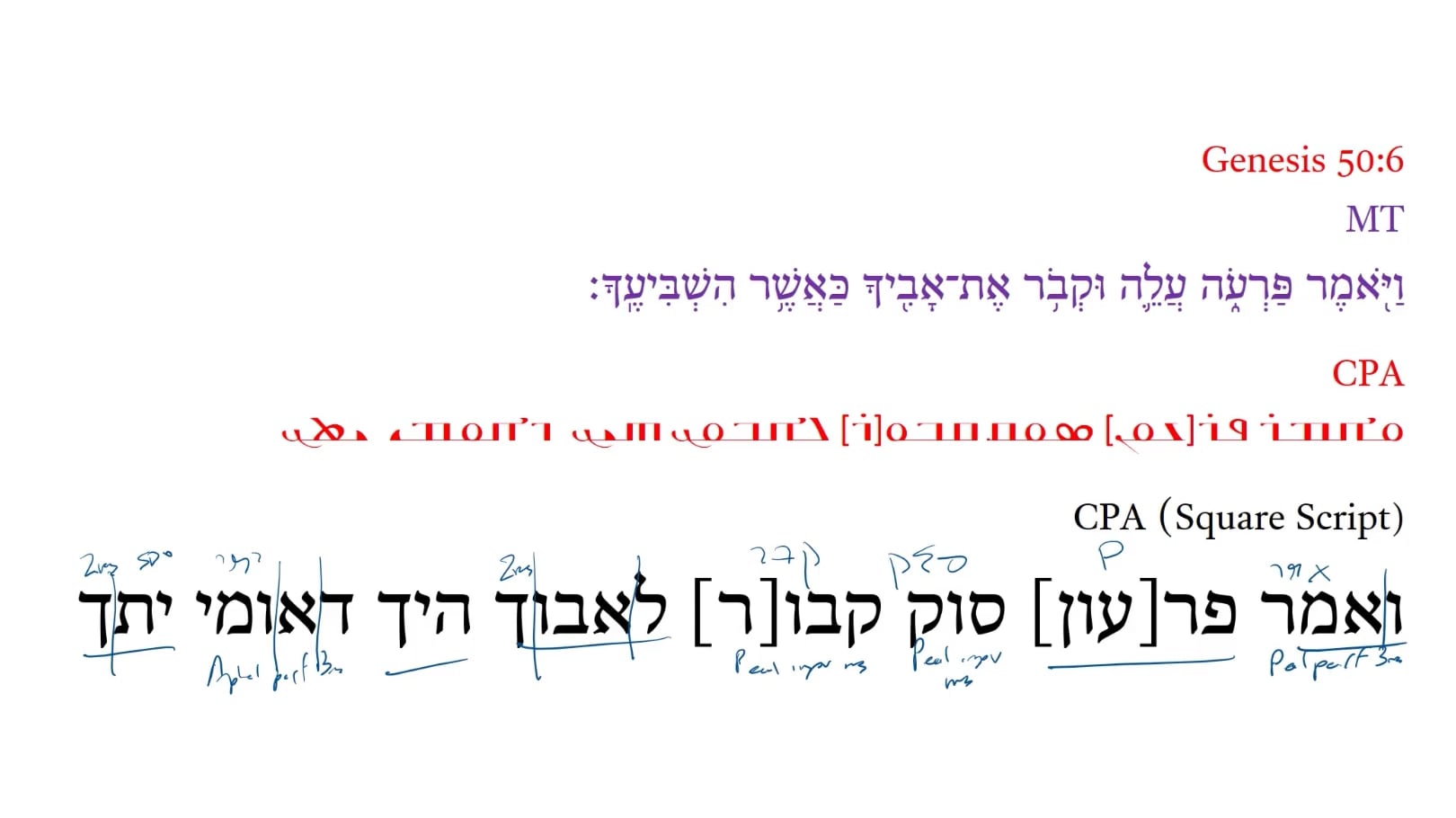 Christian Palestinian Aramaic Genesis 50:6a