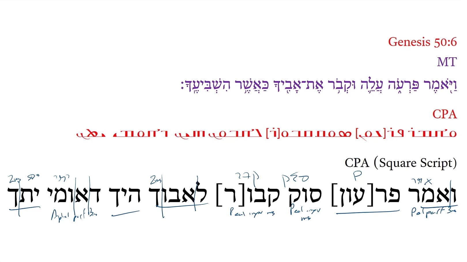 Christian Palestinian Aramaic Genesis 50:6b