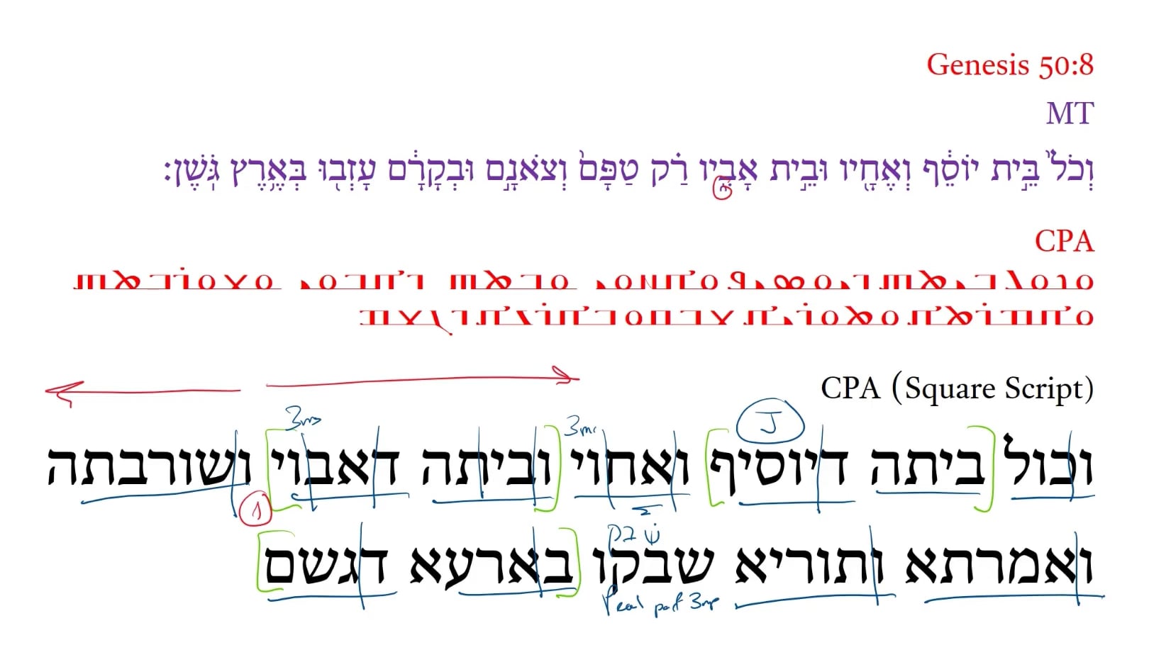 Christian Palestinian Aramaic Genesis 50:8