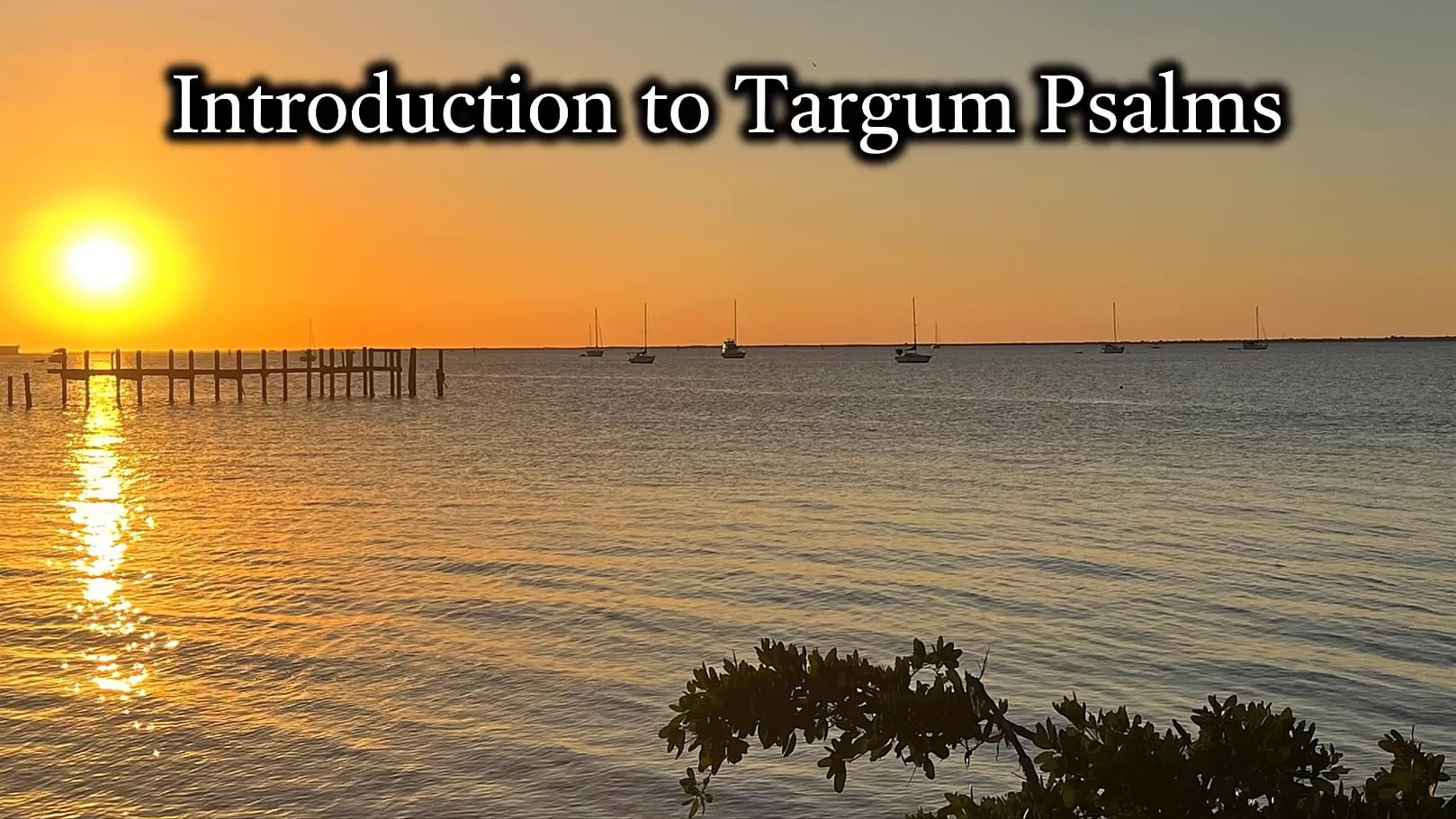 Introduction to Targum Psalms