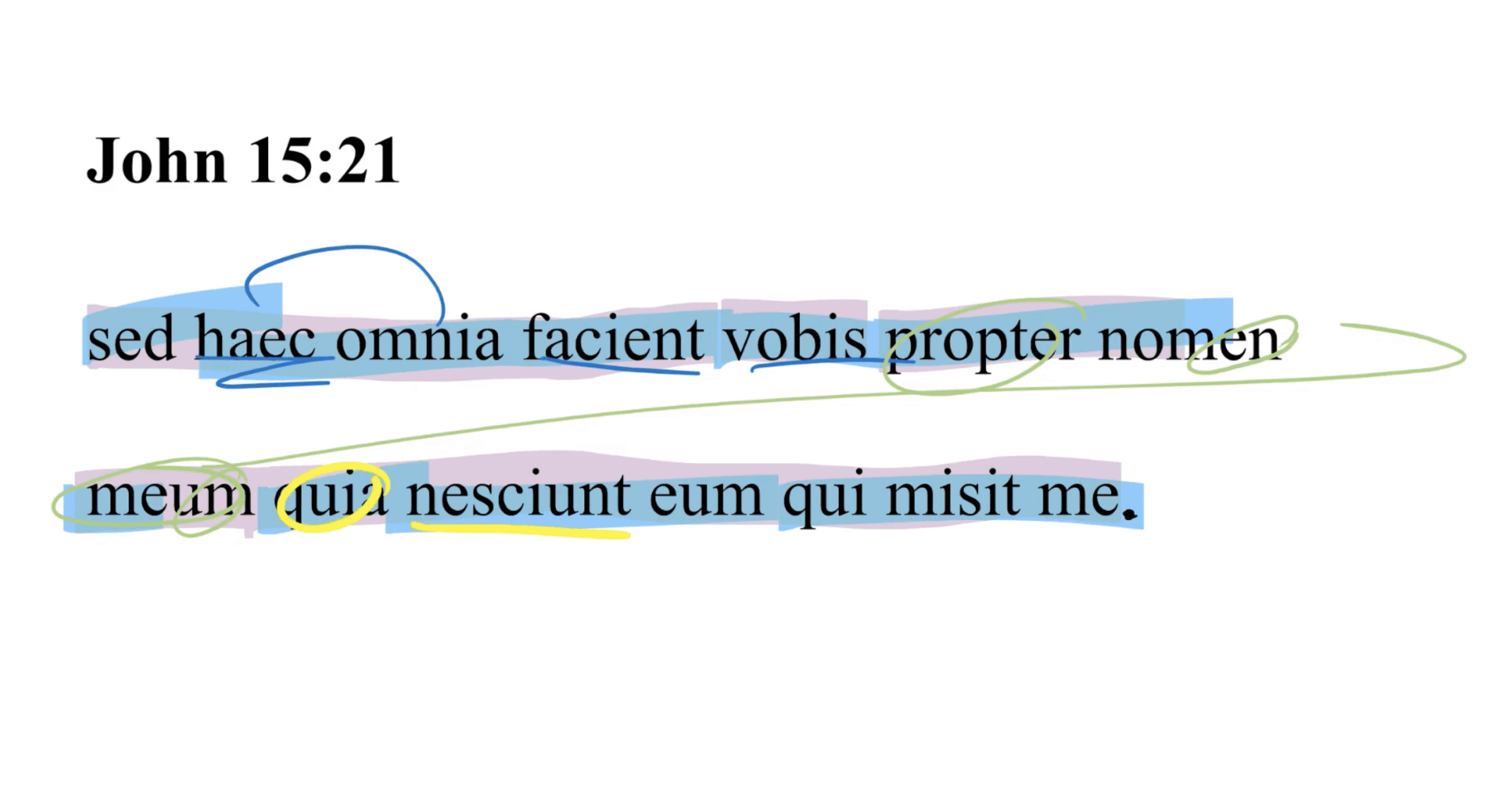 John 15:21 Latin Vulgate