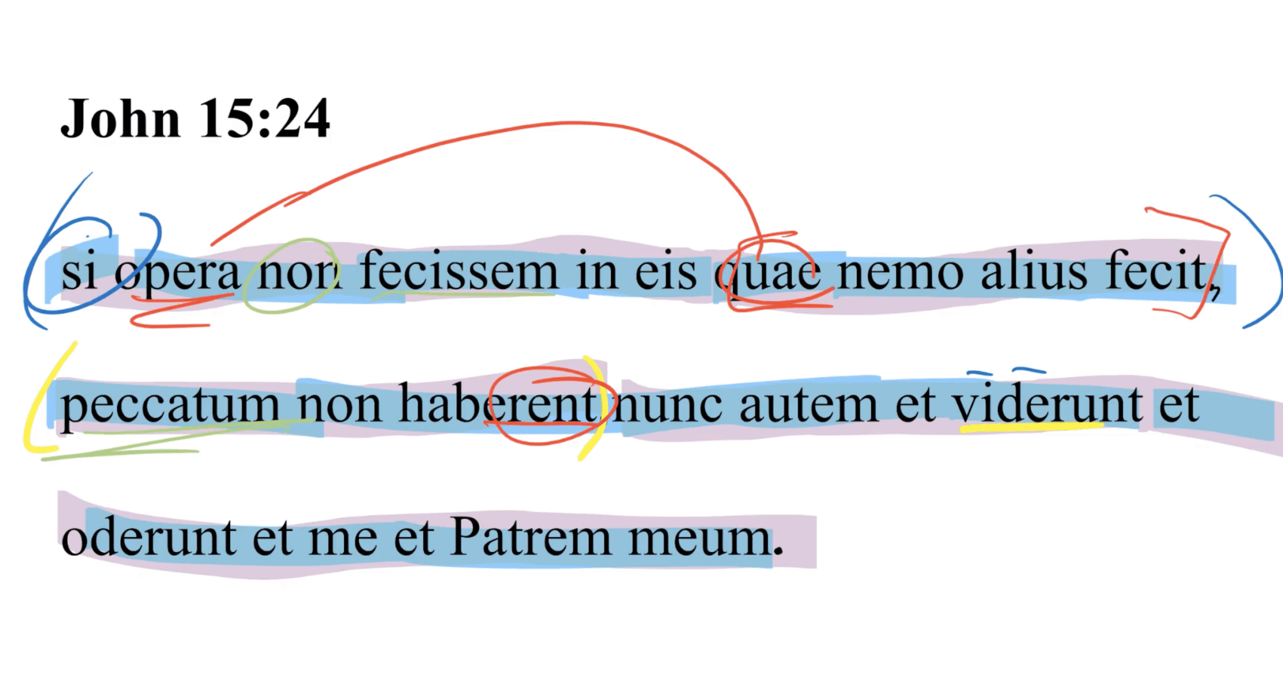 John 15:24 Latin Vulgate