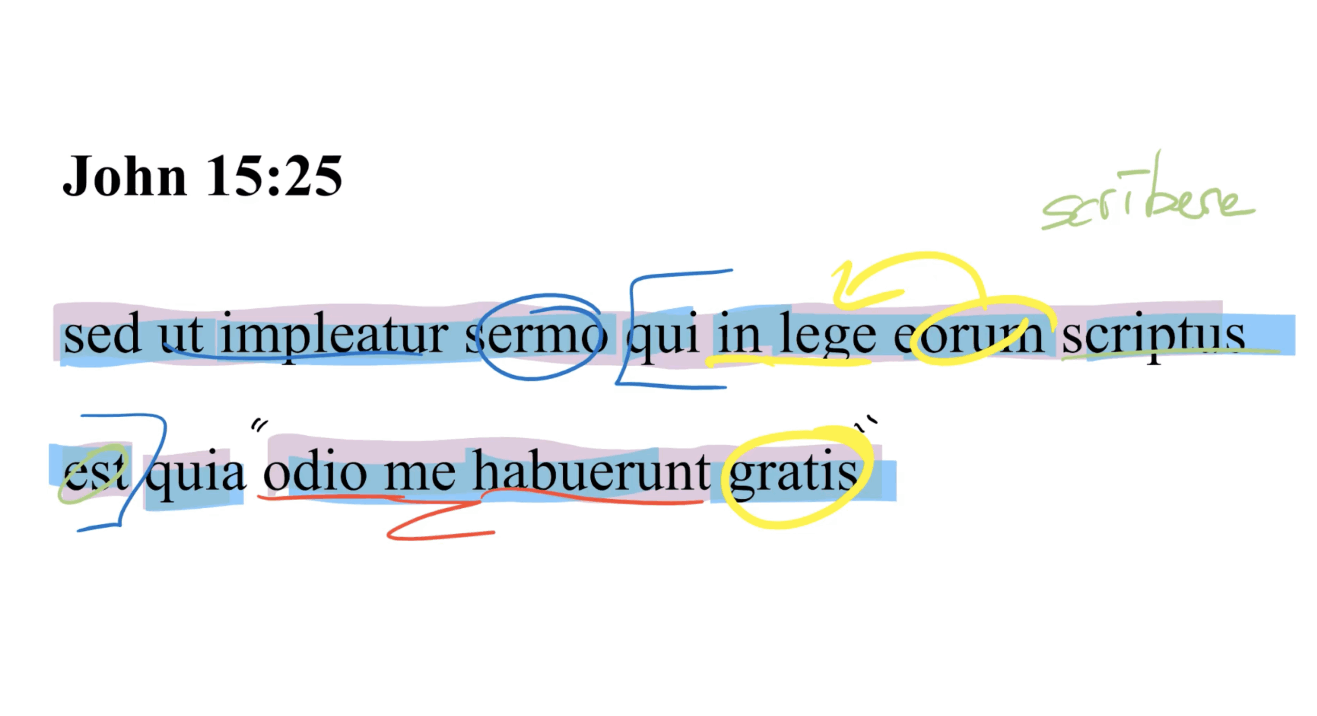 John 15:25 Latin Vulgate